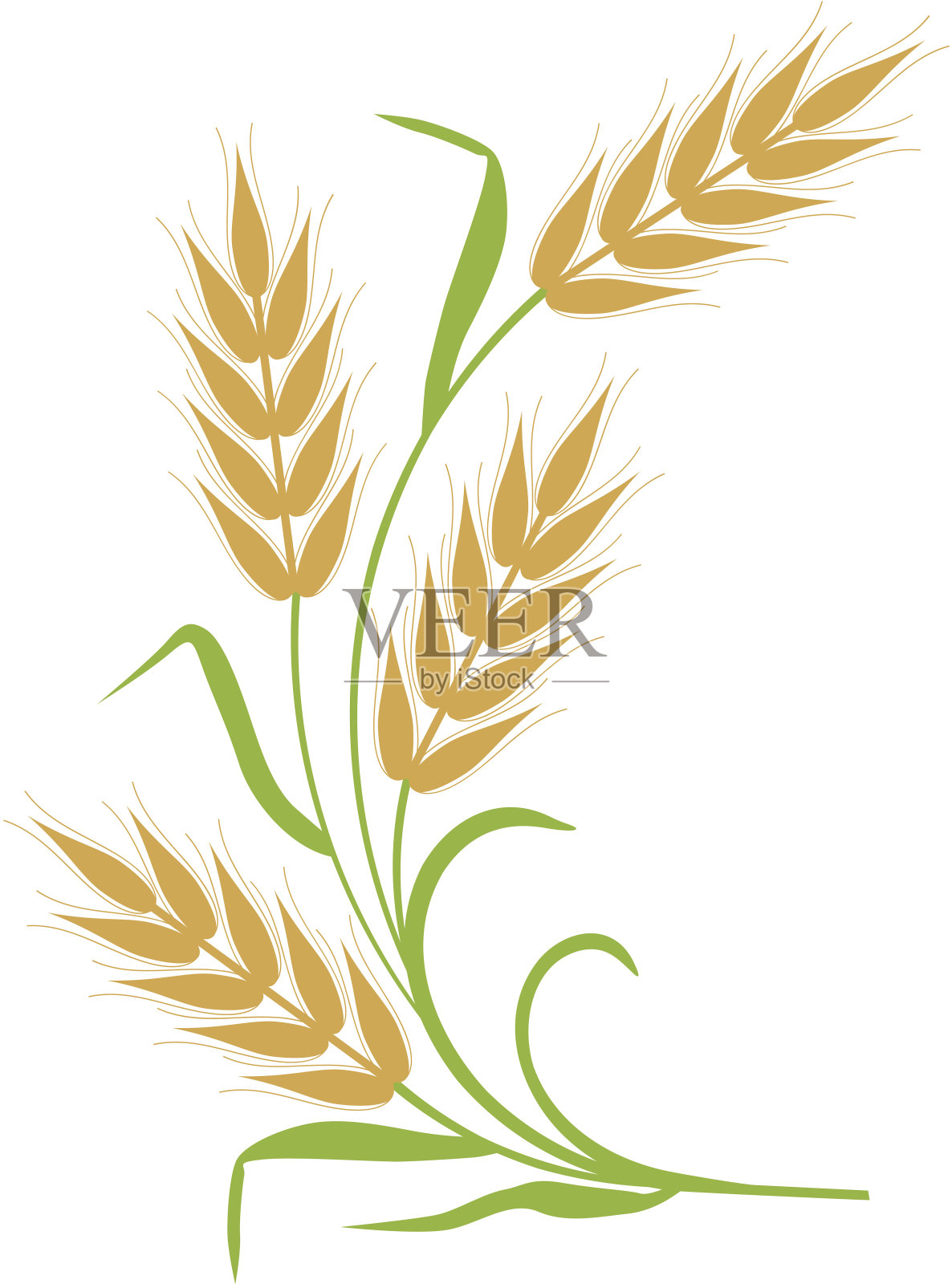 麦片插画图片素材