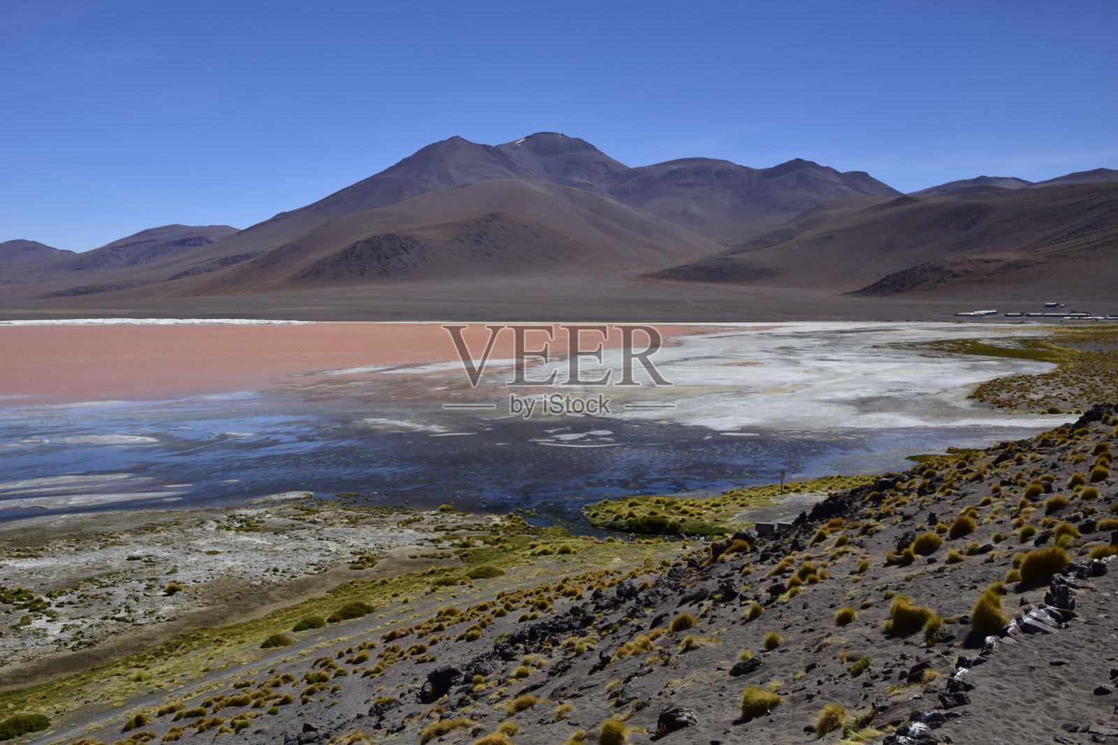 科罗拉多的拉古纳，位于玻利维亚乌尤尼的爱德华多阿瓦罗亚国家保护区，海拔4300米。照片摄影图片