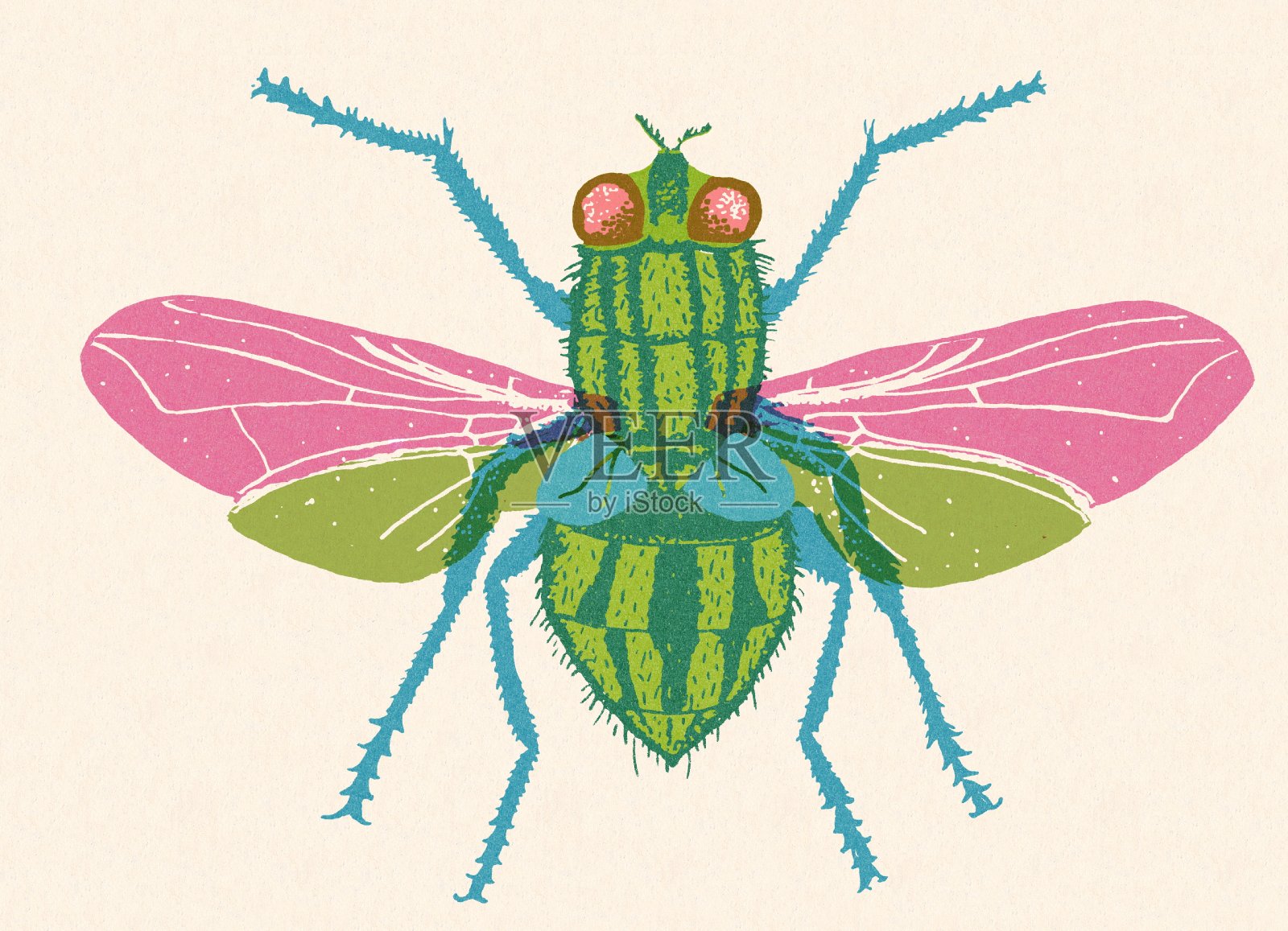 昆虫插画图片素材