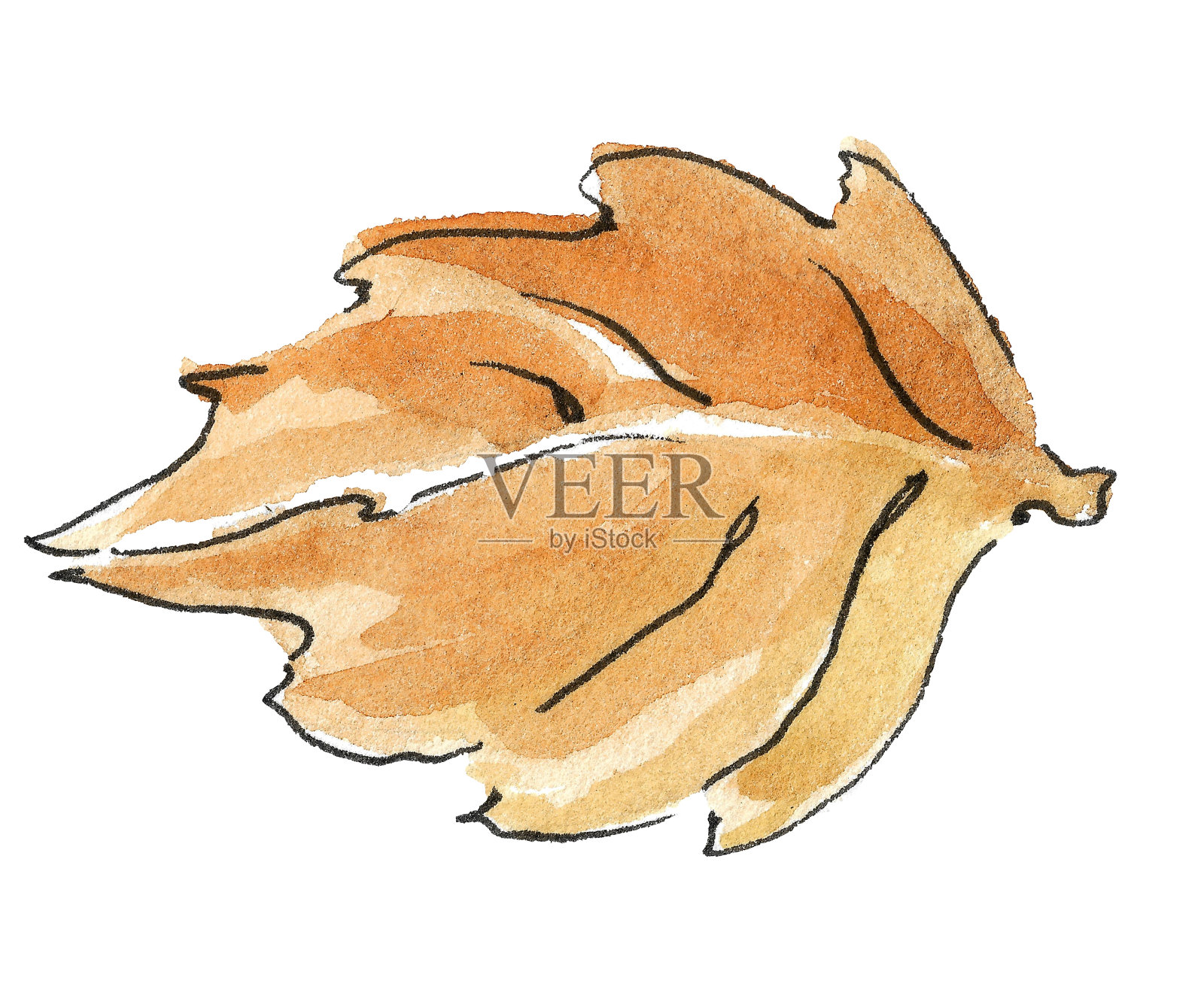 一张秋天落叶的横向单幅图像插画图片素材