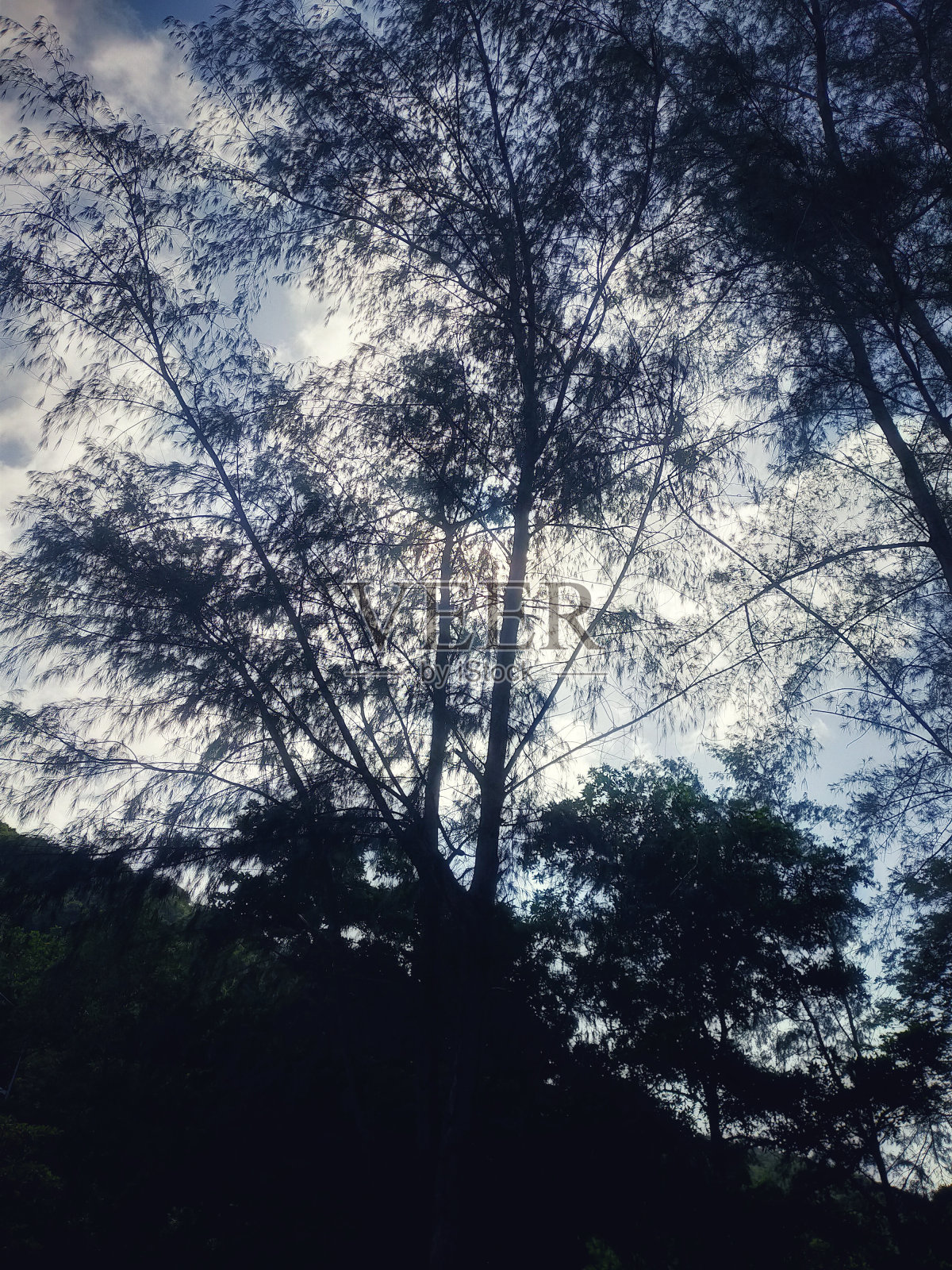 不同的自然风光照片摄影图片