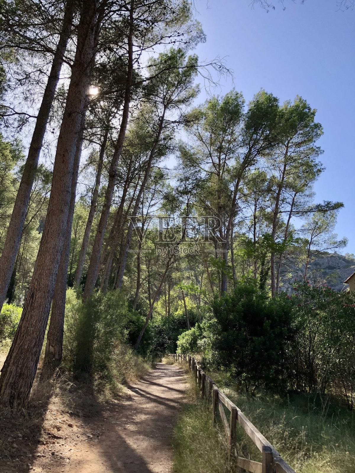 山间河流附近的自然公园照片摄影图片