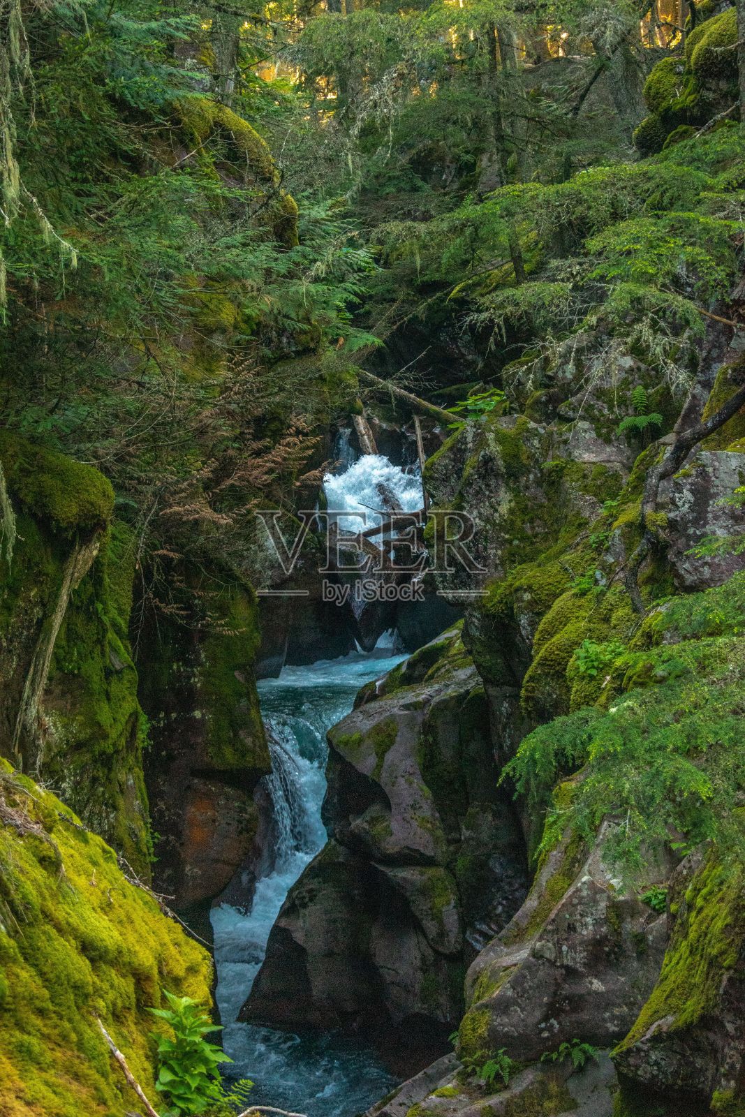 一条小河的边上是长满苔藓的岩石照片摄影图片