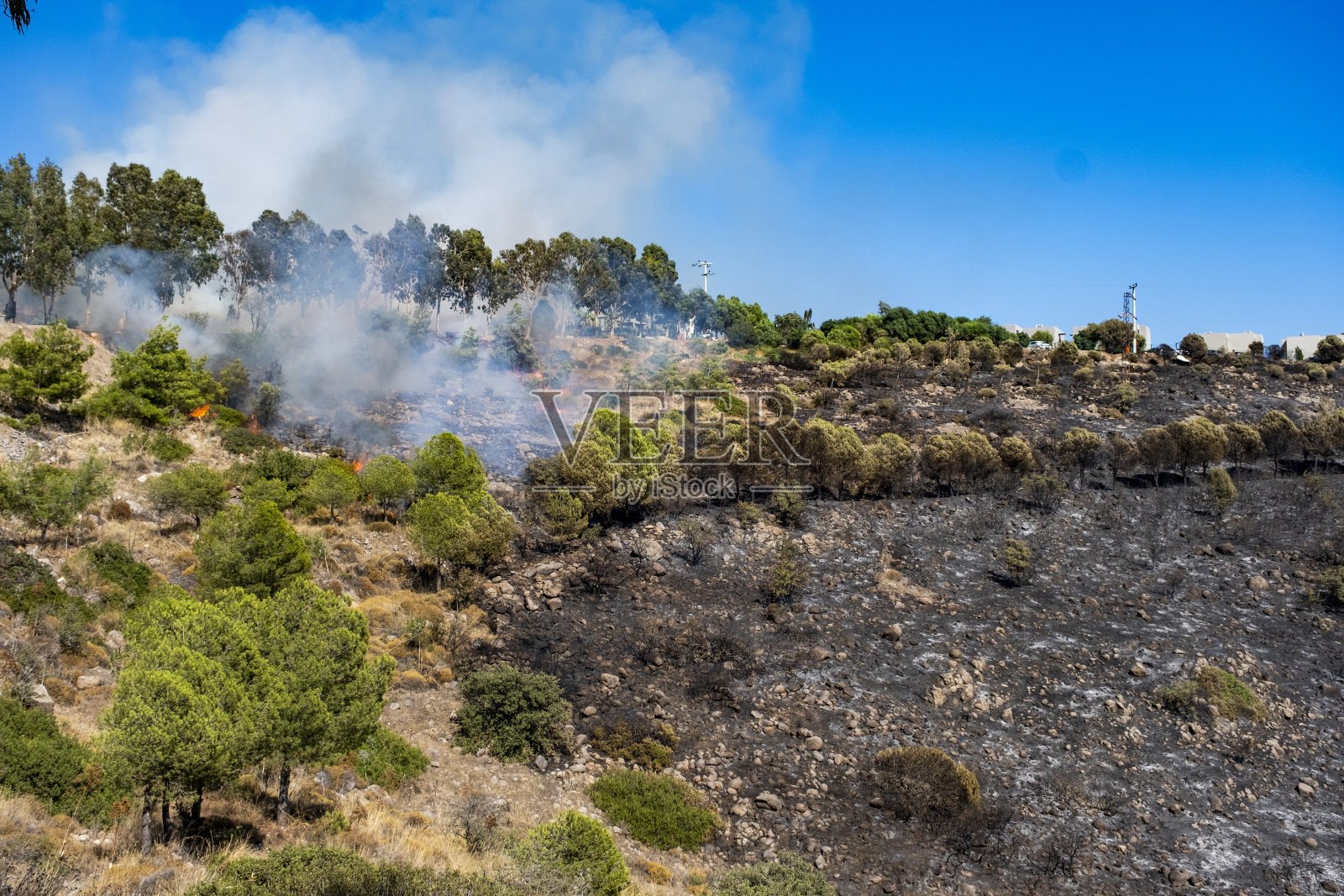 度假村里的山上着火了照片摄影图片