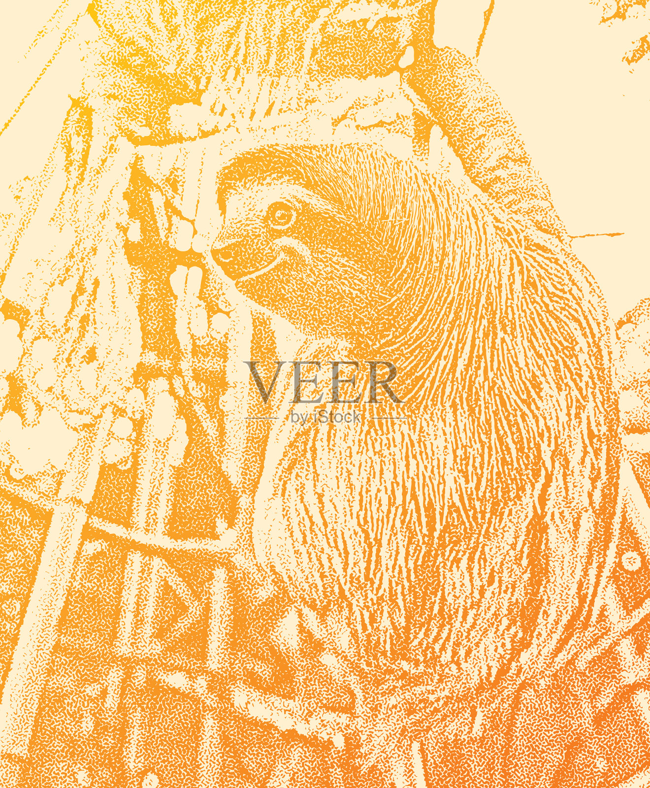 画一个快乐的，被拯救的树懒插画图片素材