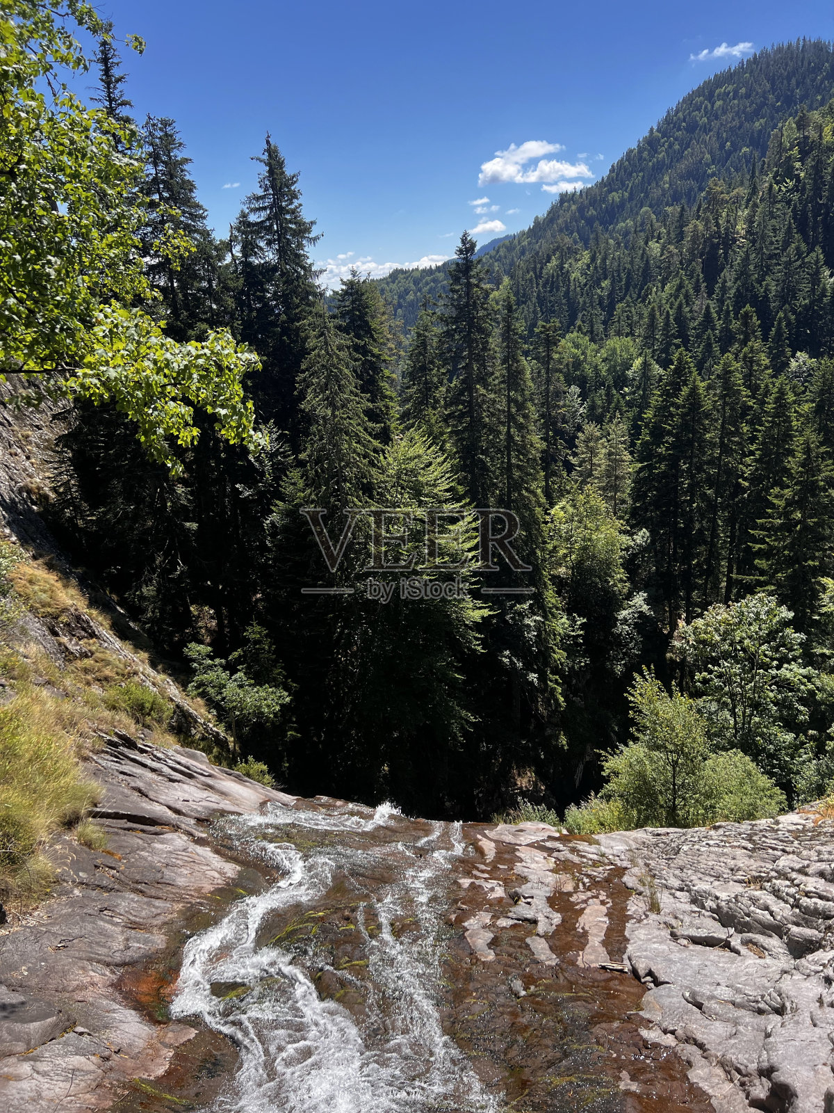 绿色的树木和瀑布从顶部照片摄影图片