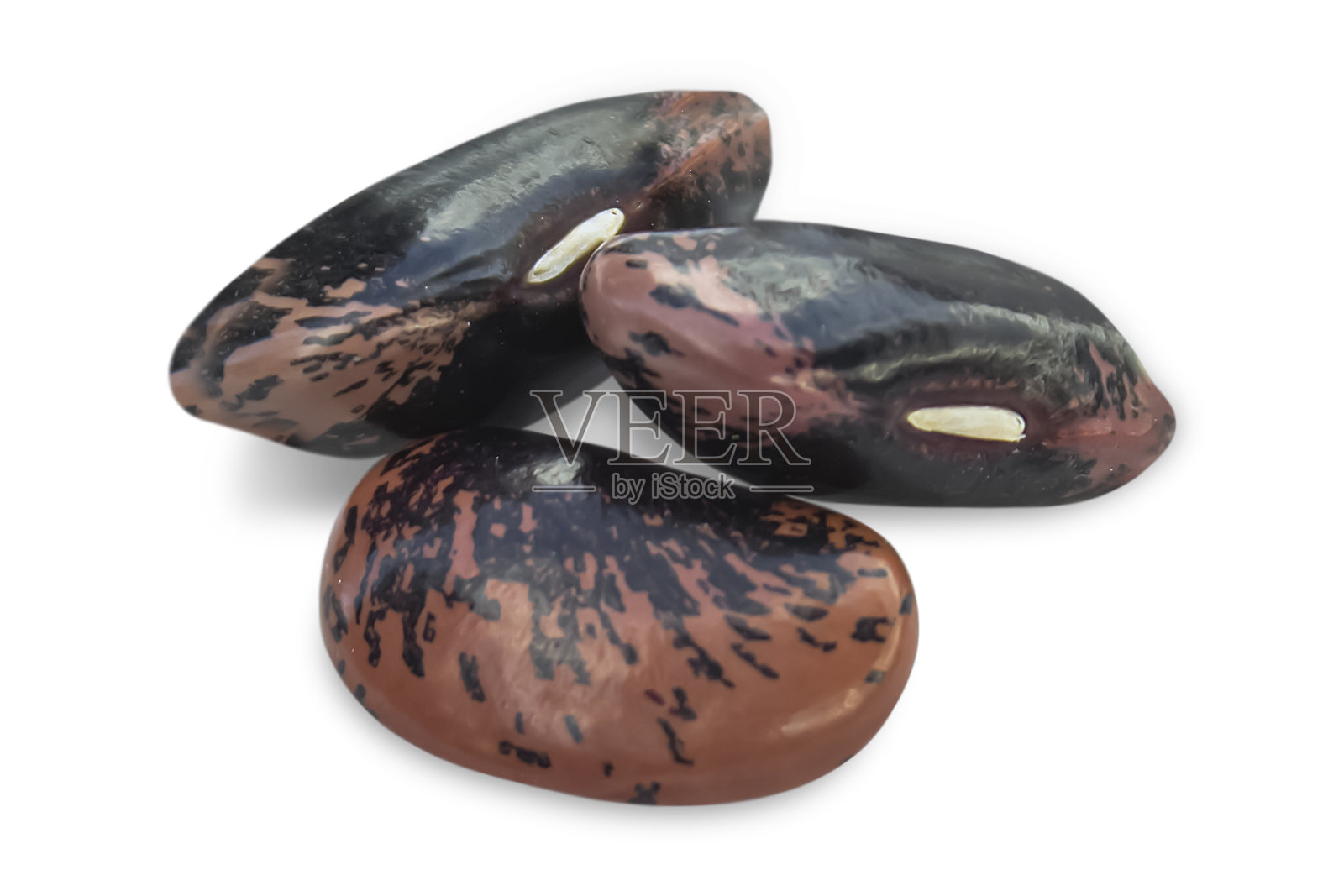 三粒斑点豆。照片摄影图片