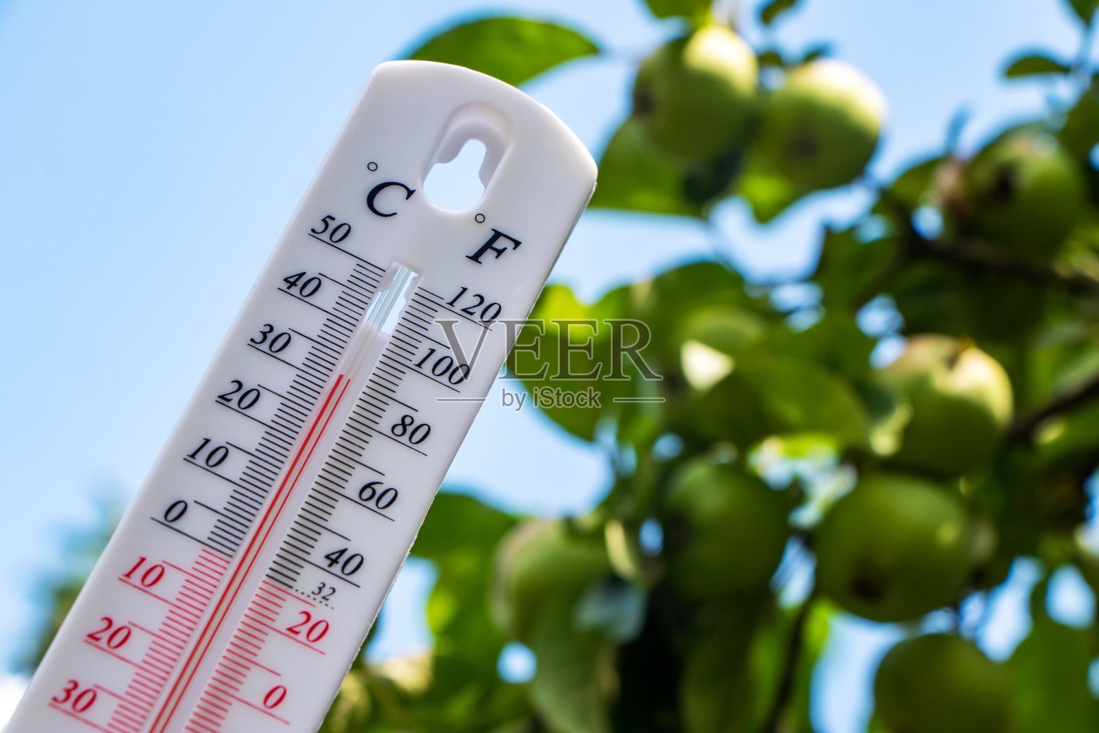 以青苹果为背景的温度计。夏季炎热或全球变暖是气候变化的概念。照片摄影图片