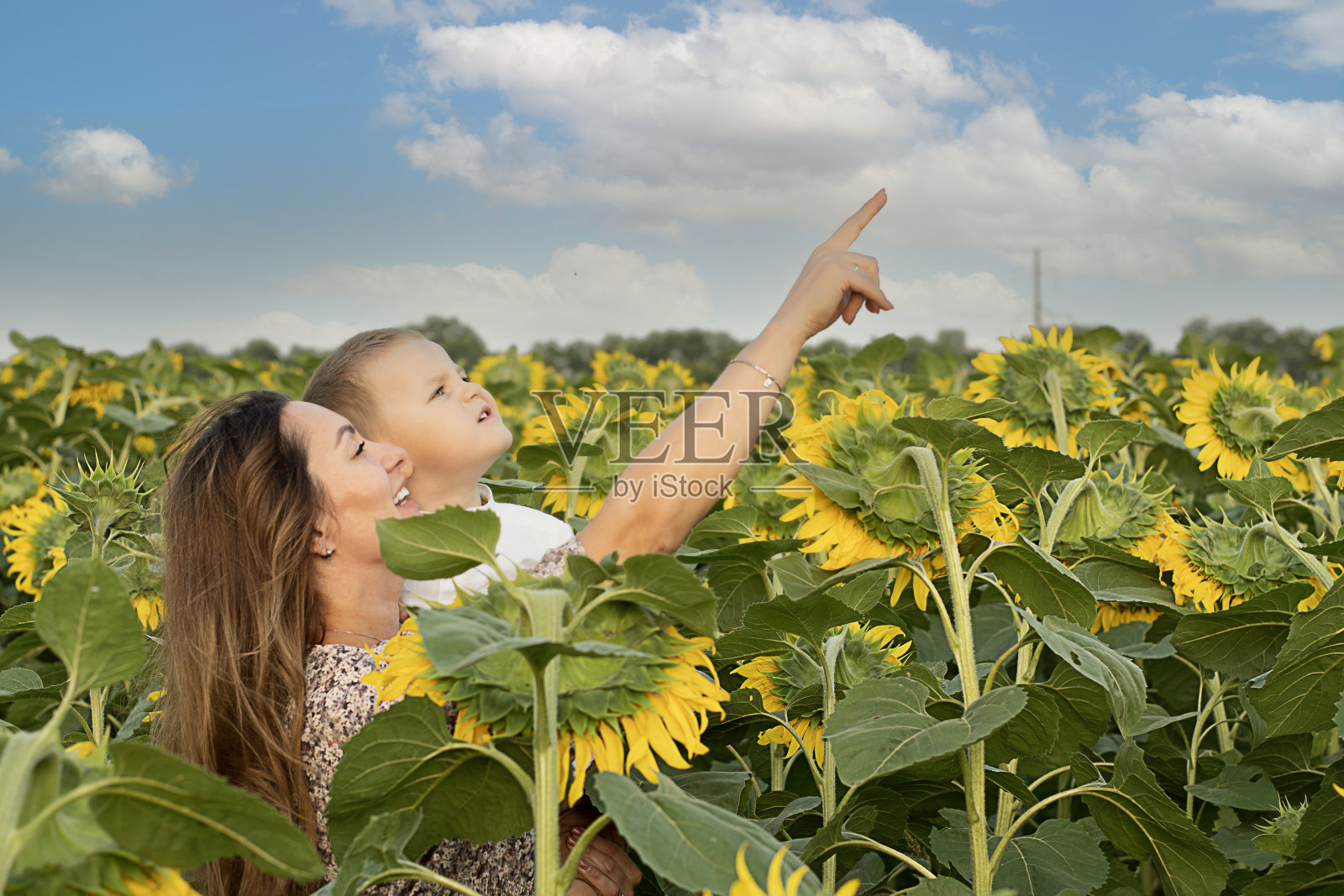 家庭的概念。一个小男孩在妈妈的怀抱里，温柔地拥抱着他，站在蓝天下开着黄色向日葵的田野里。和平的象征。乌克兰的象征。照片摄影图片