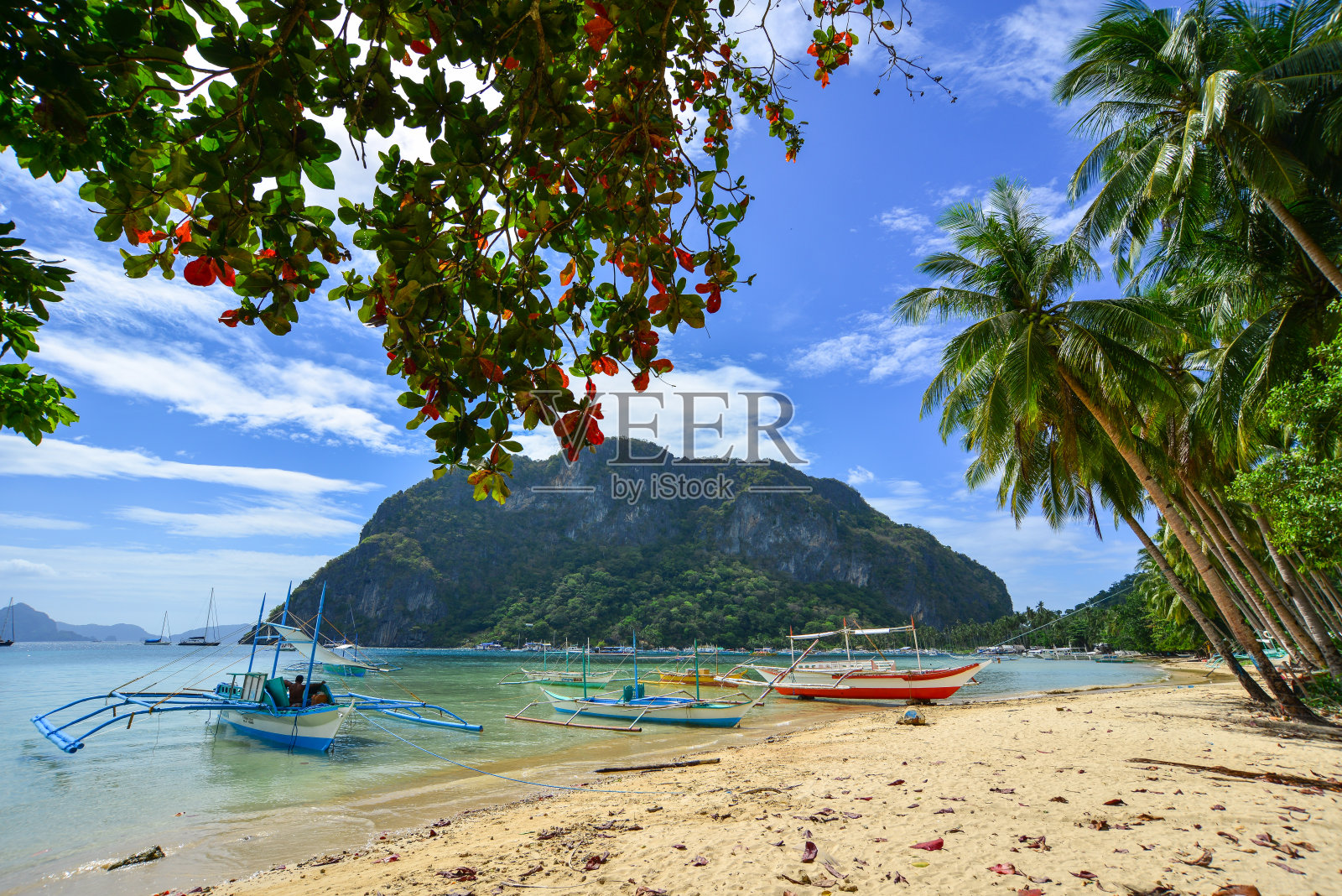 菲律宾科伦岛的海景照片摄影图片