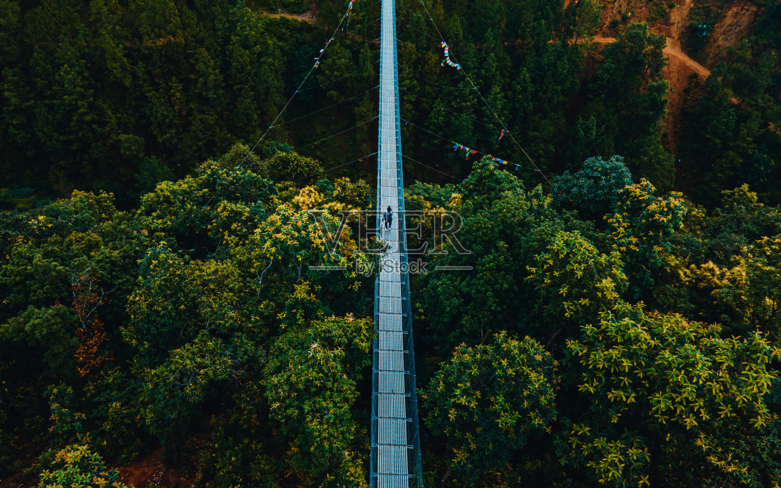 悬索桥鸟瞰图照片摄影图片