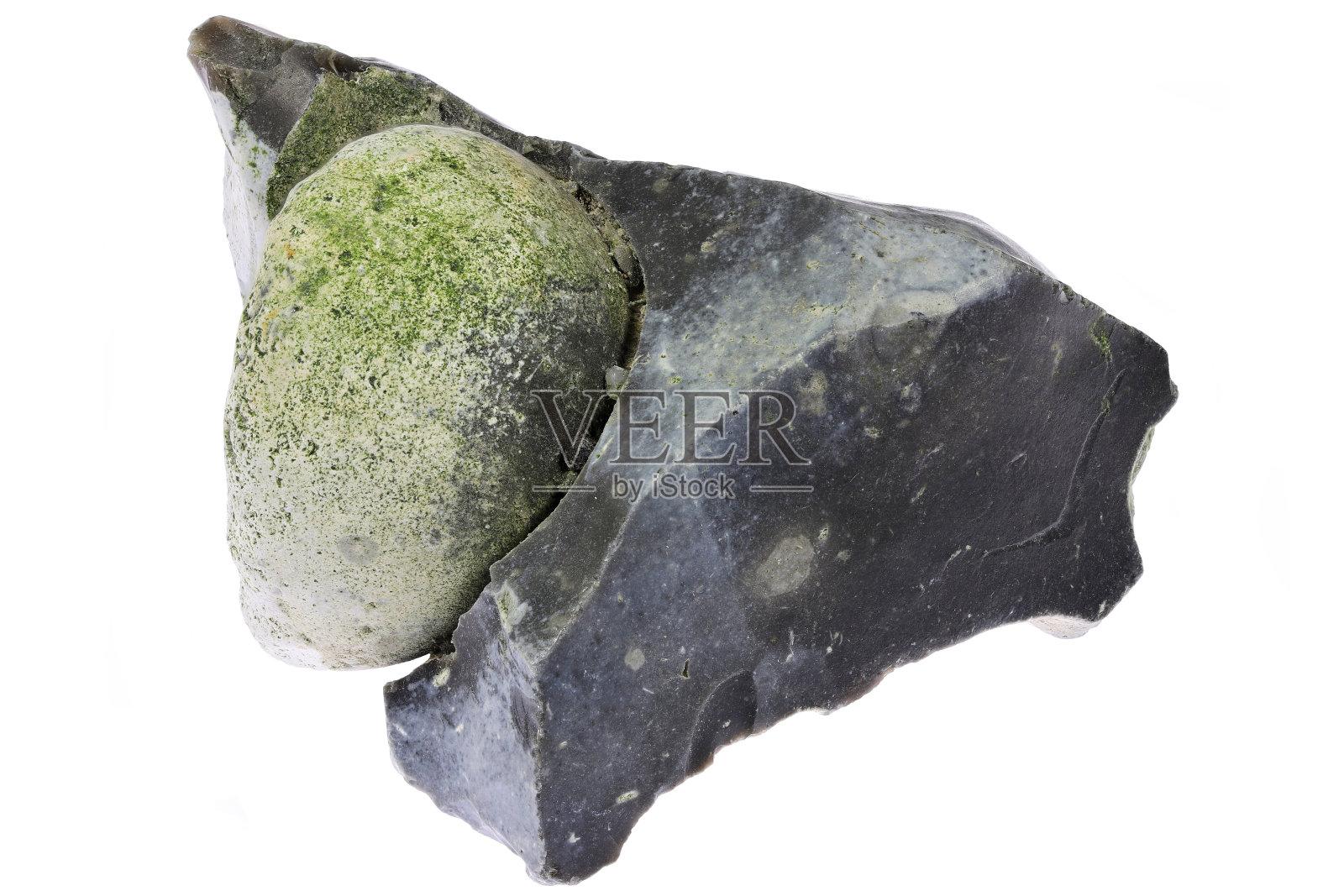 丹麦燧石基质中的石化海胆照片摄影图片