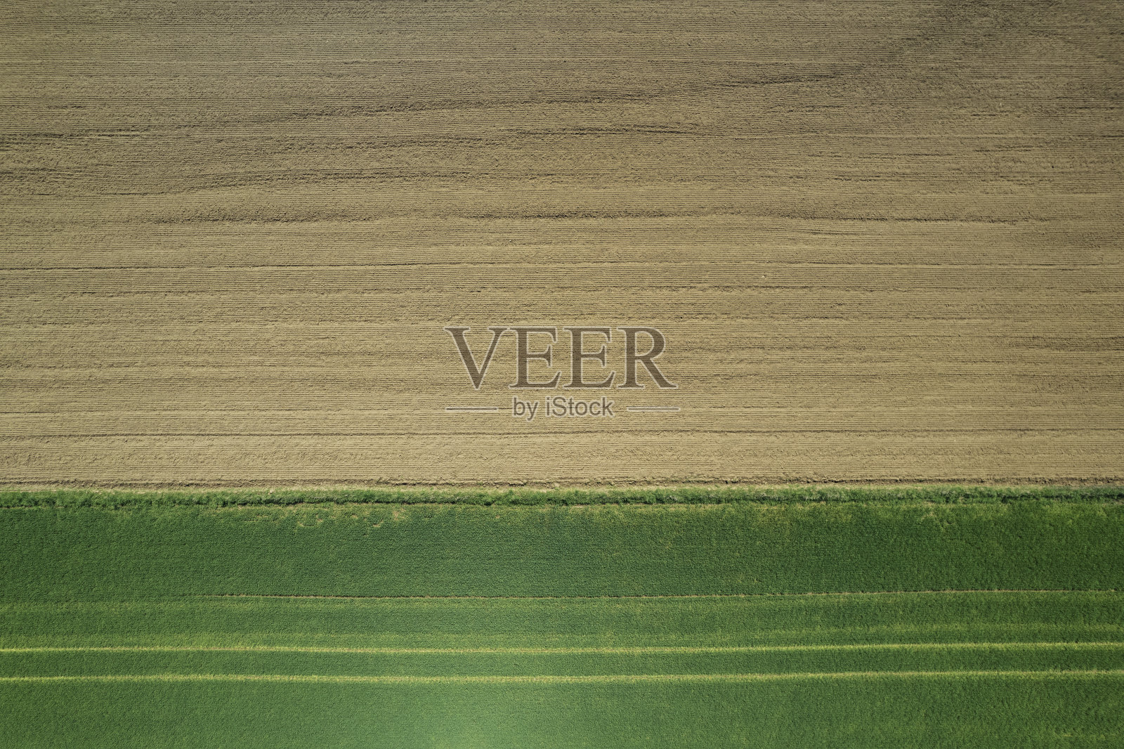 乡村景观中的绿色农田(航拍)照片摄影图片