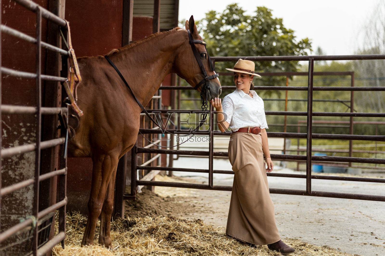 一个穿着漂亮衣服的可爱女人正把她的棕色马从马厩里拉出来，这样她就可以骑它了。这种动物是阿拉伯阿拉伯的品种。女人骑马的概念。照片摄影图片