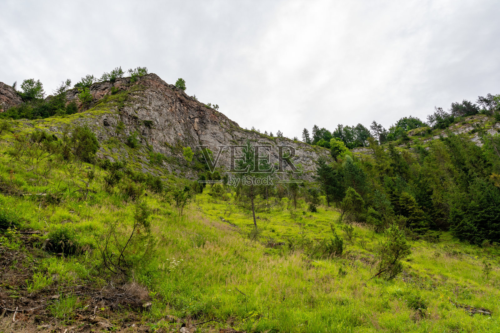 波兰雅沃基“霍莫勒峡谷”自然保护区照片摄影图片