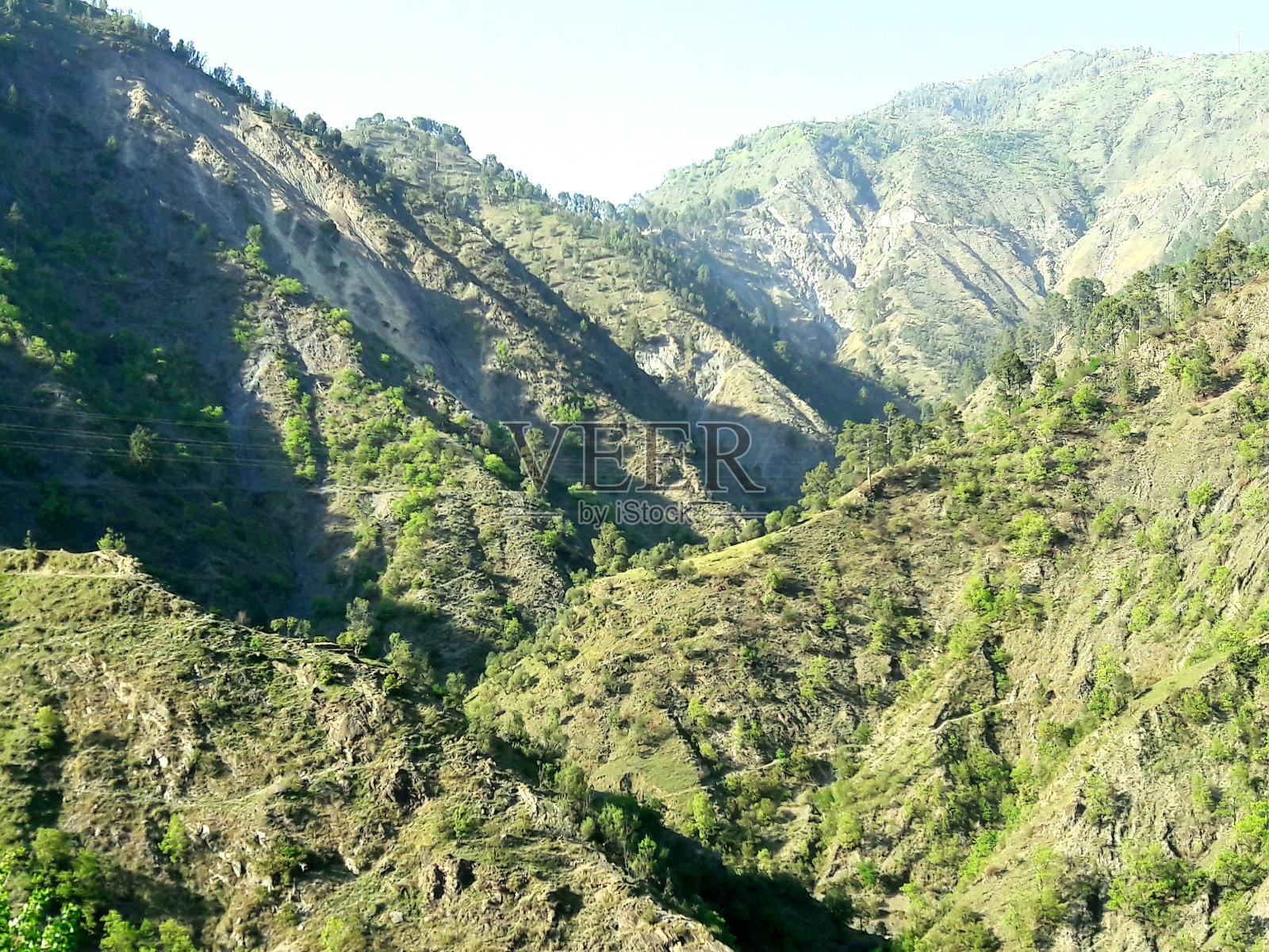 山丘和绿色植物照片摄影图片