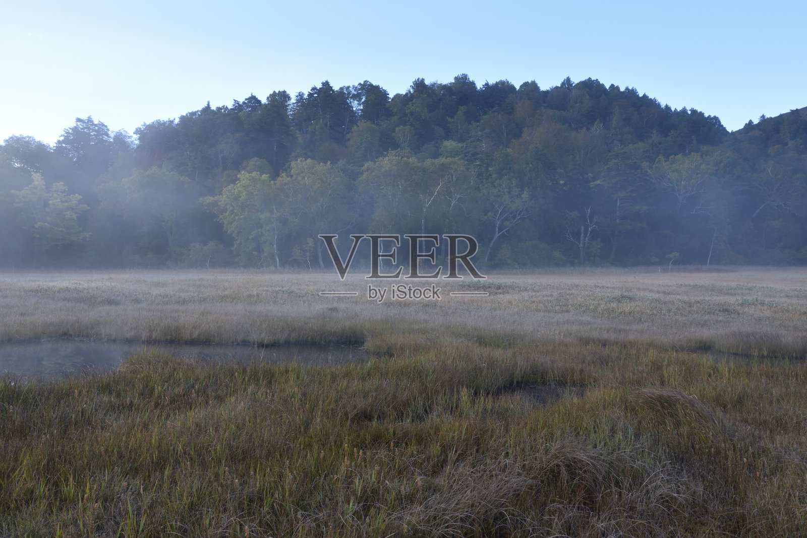 日本群马县尾泽Shibutsu山照片摄影图片