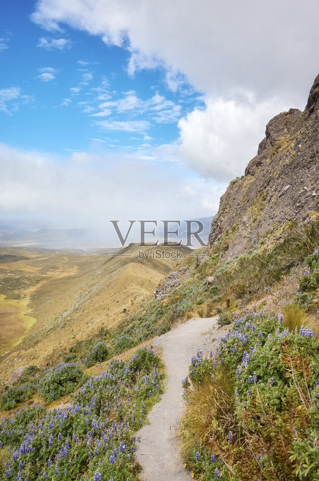 厄瓜多尔科托帕西国家公园Ruminahui火山之路。照片摄影图片