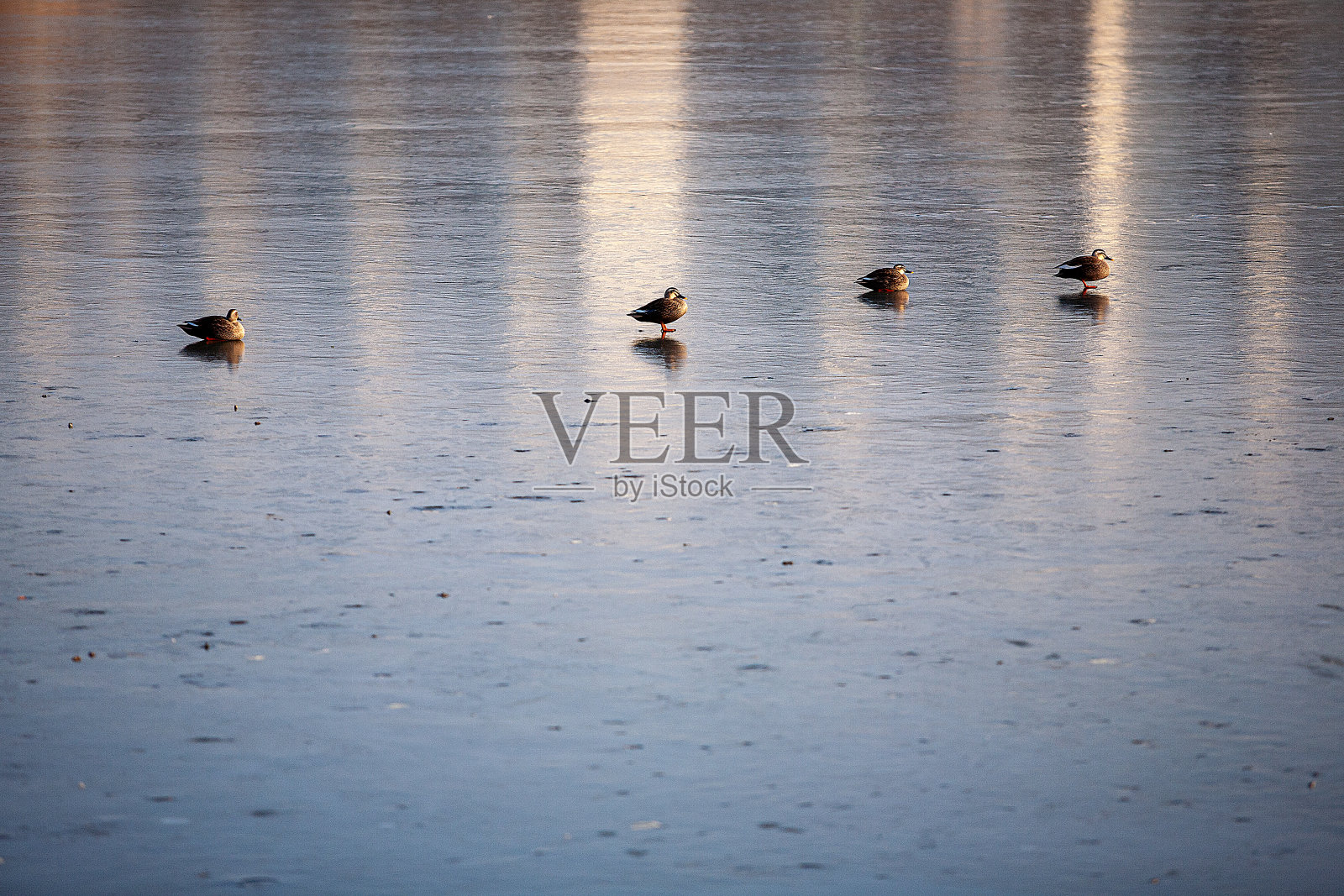 冬季河滨风光照片摄影图片