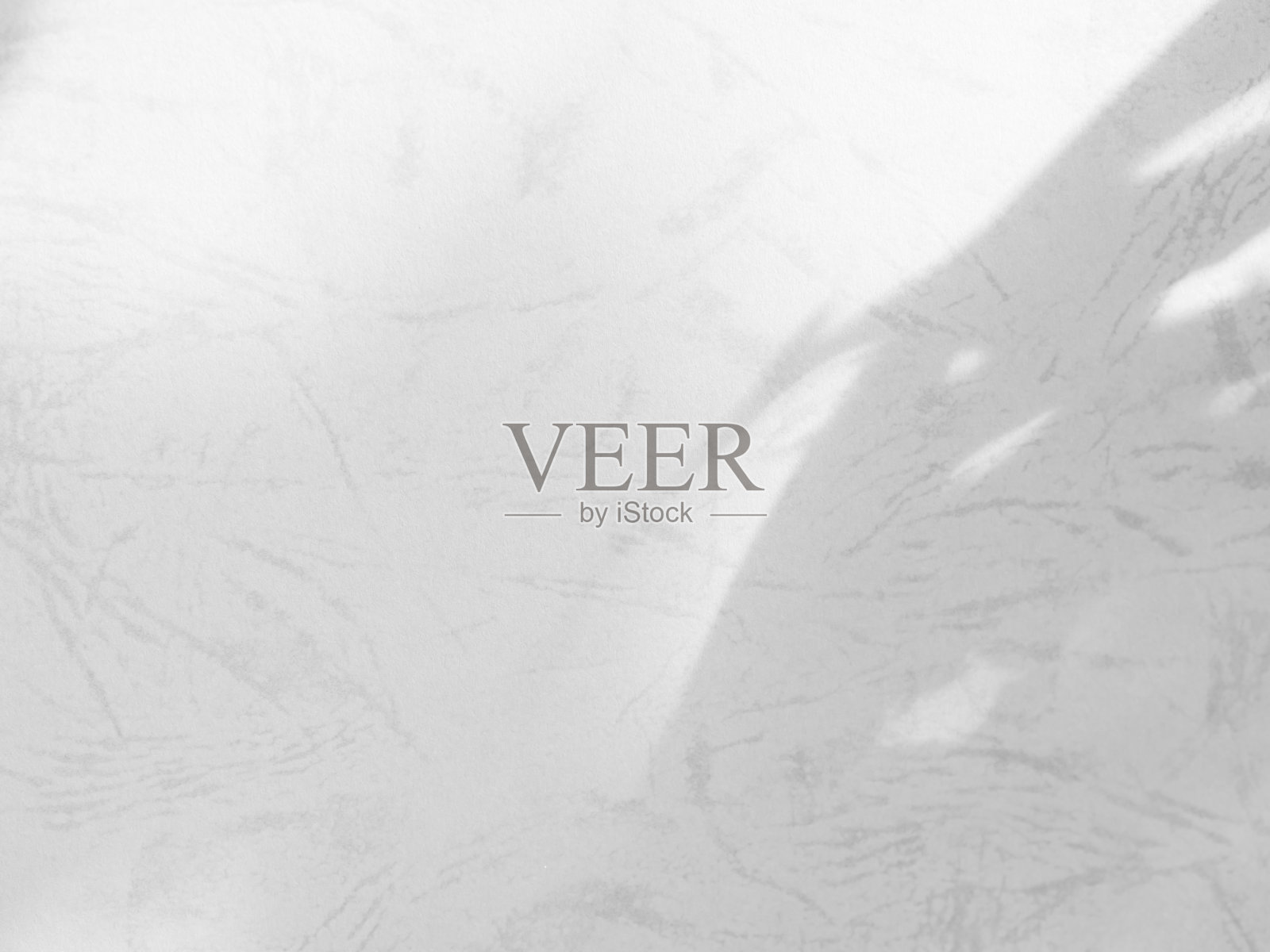 阴影叶植物背景，抽象叶花白色覆盖自然枝叶模糊水泥大理石背景，阳光从灰色的窗口模拟最小模板产品，墙地板照片摄影图片