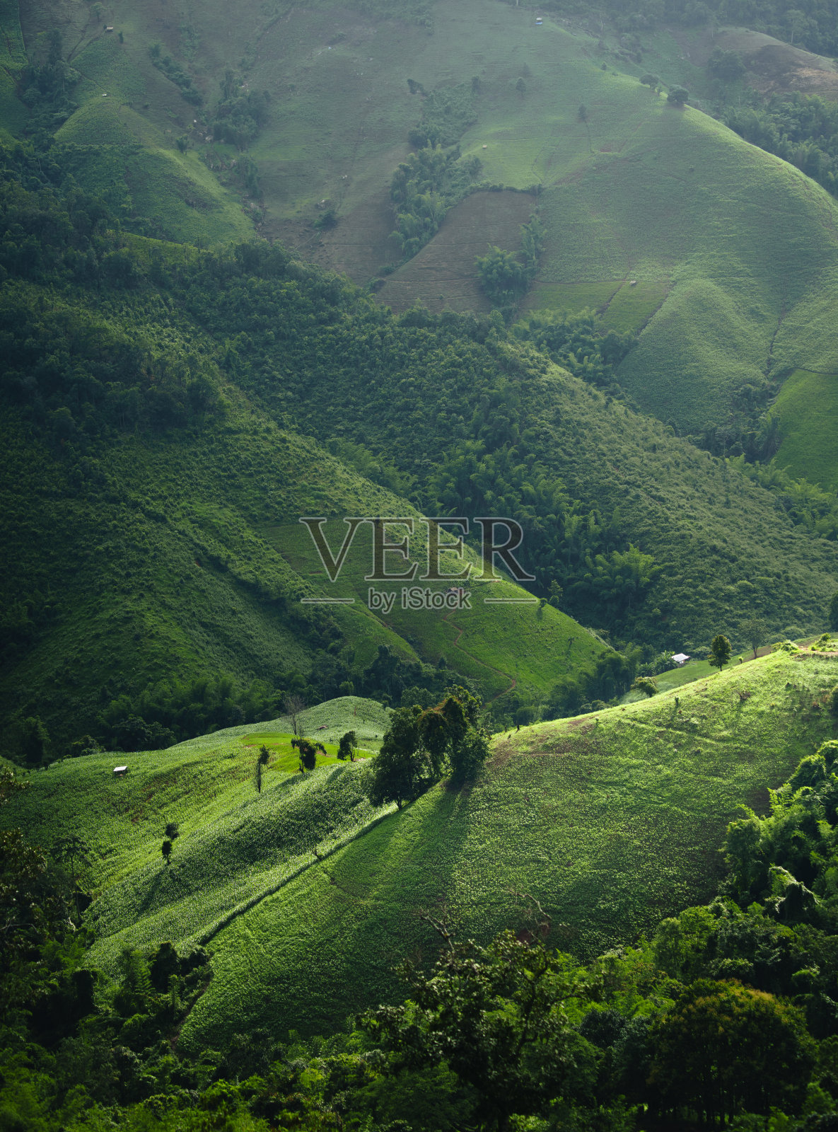 青山风景，山水青山照片摄影图片