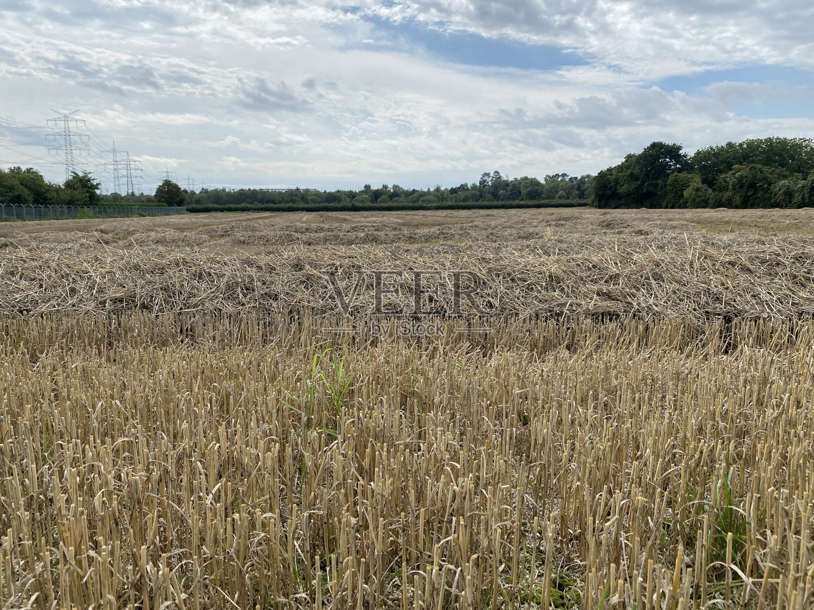 割了一半的地照片摄影图片