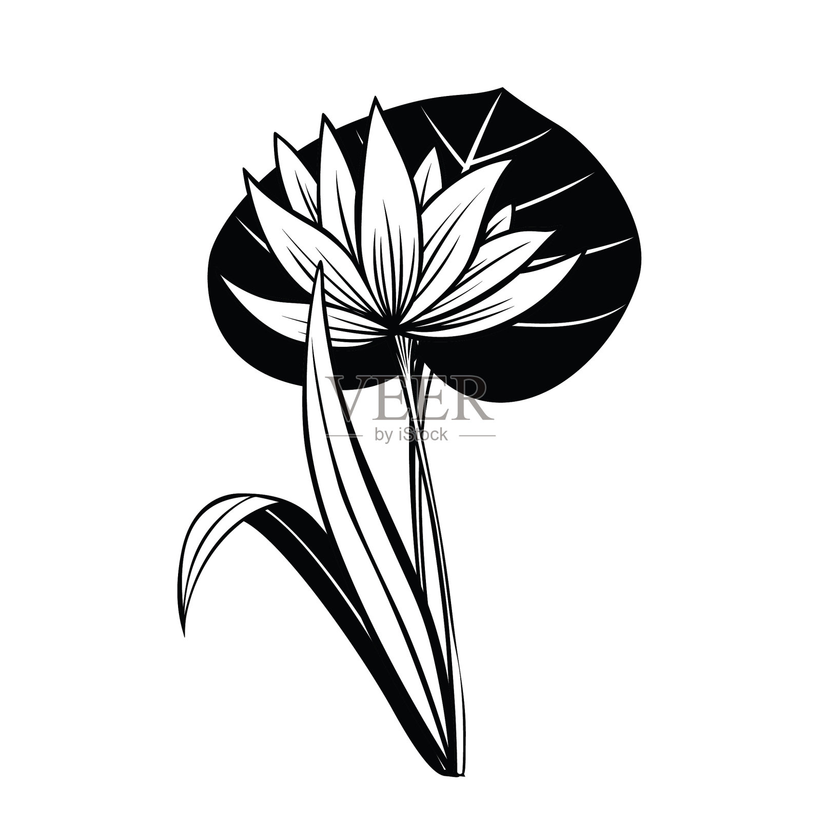 莲花设计元素图片