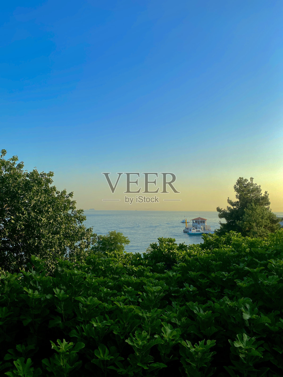 历史摩达码头照片摄影图片