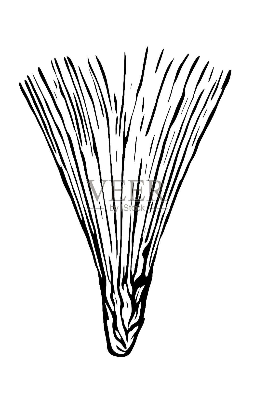 加拉泰拉·利诺西里斯设计元素图片