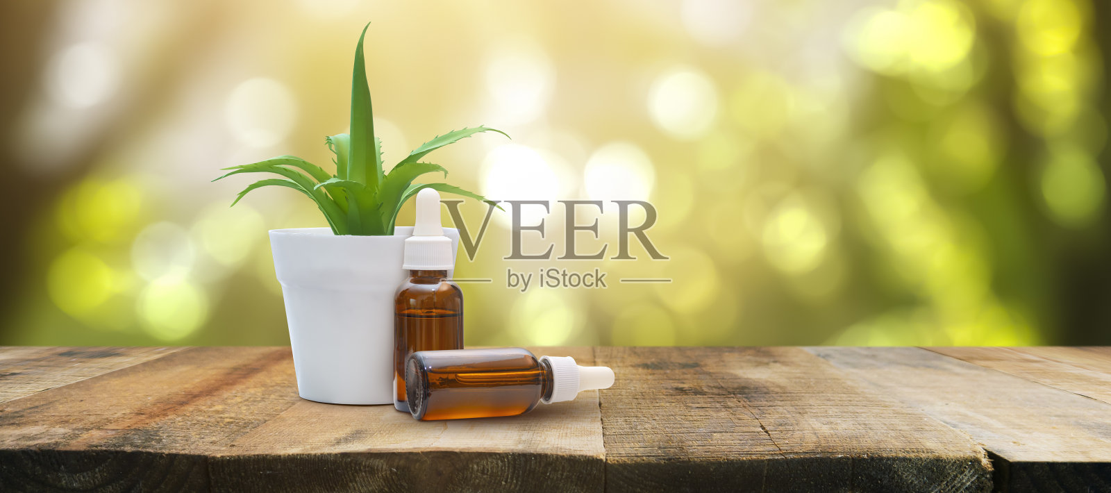 芦荟植物和琥珀色玻璃面部精华液瓶与移液管，面部护理的概念照片摄影图片