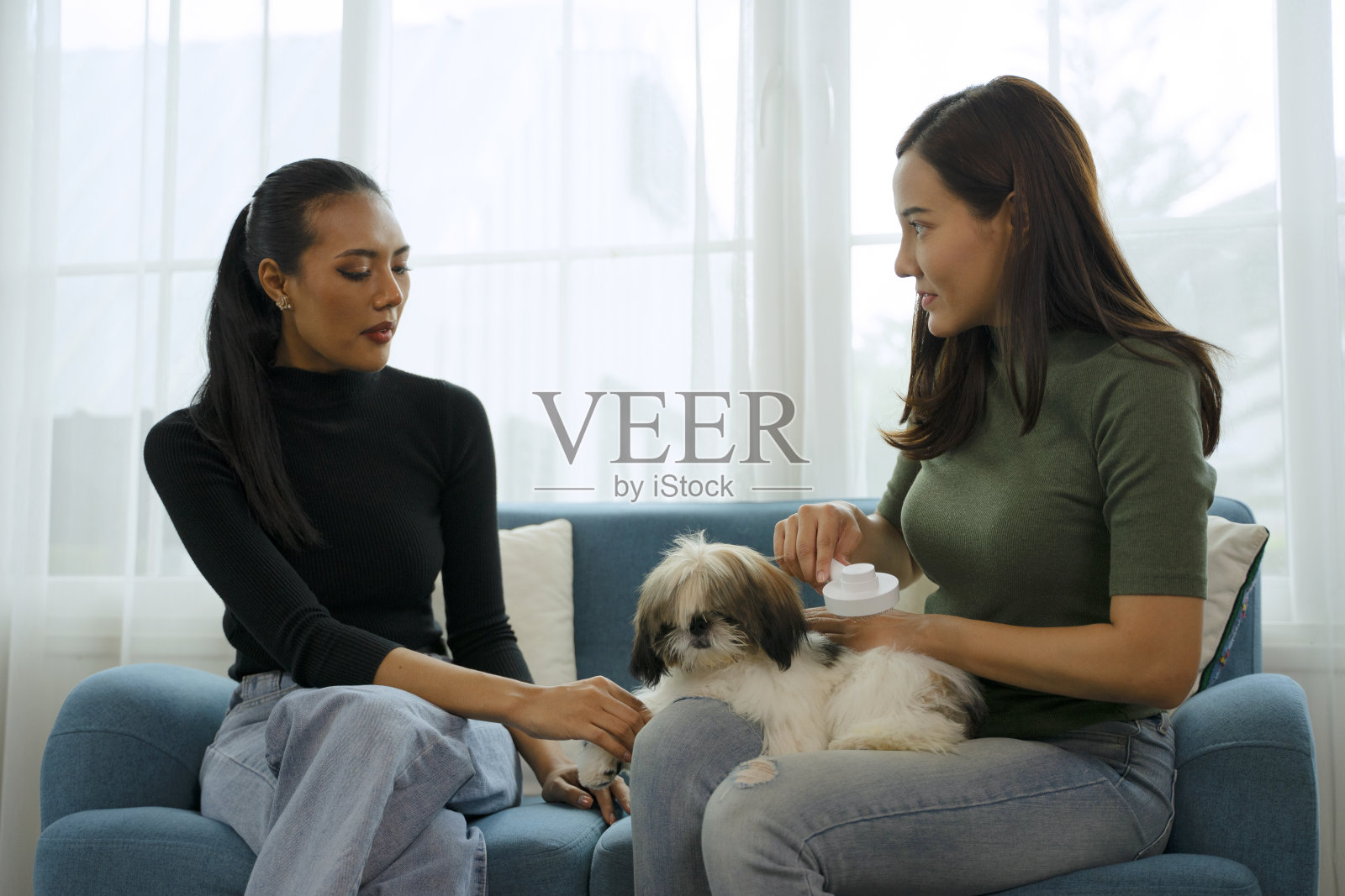 朋友们在家里玩狗游戏。照片摄影图片