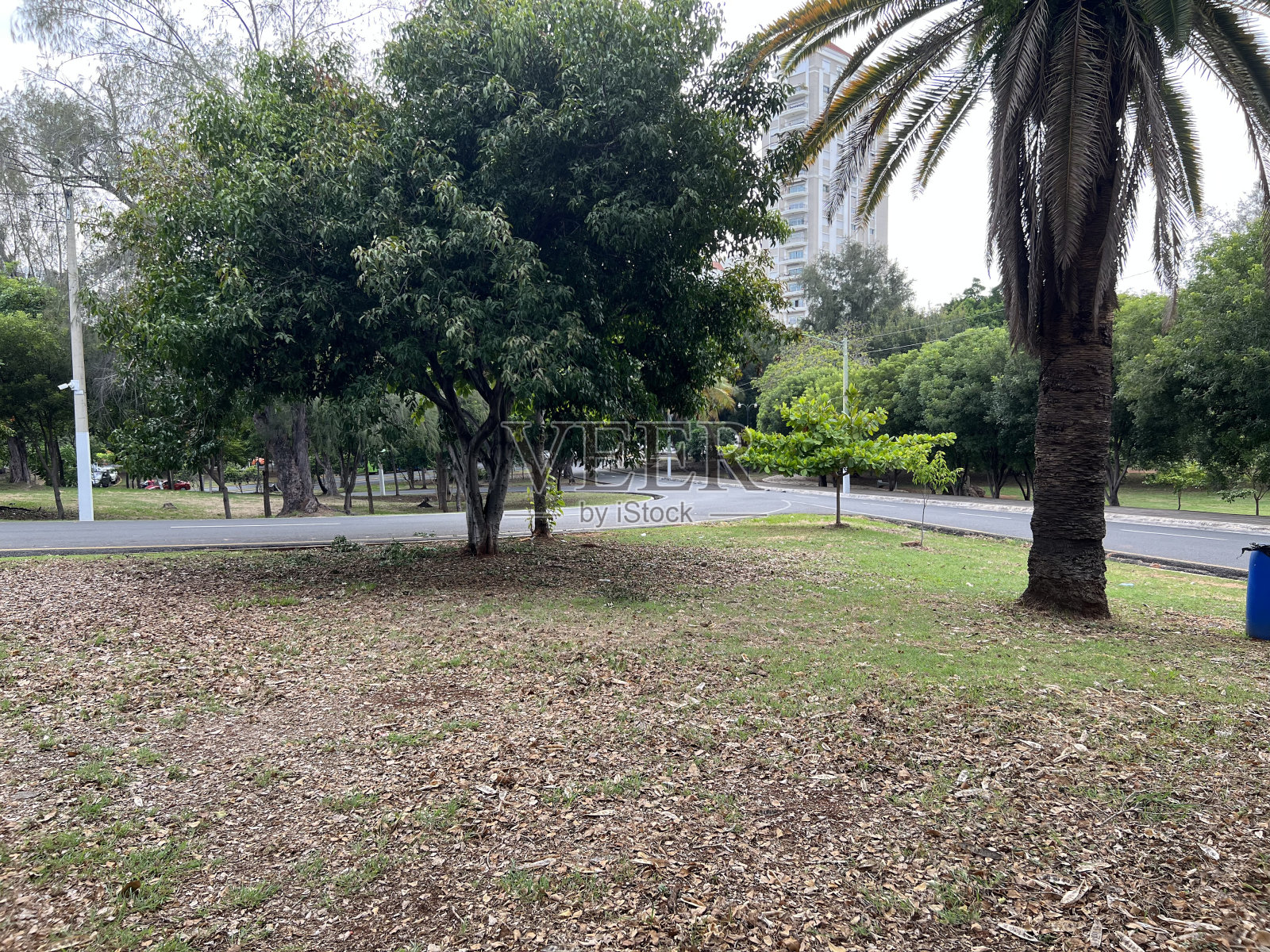 城市内的城市公园照片摄影图片