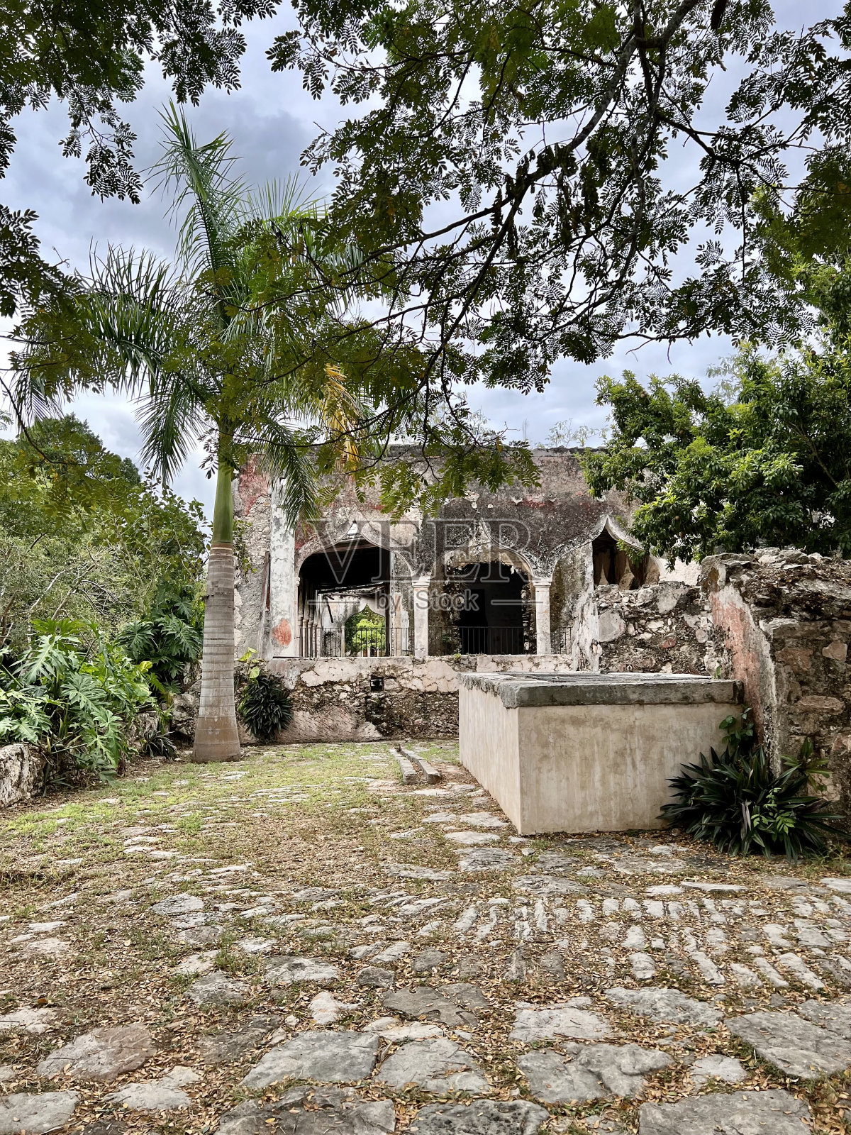 墨西哥尤卡坦半岛的Mucuyche庄园照片摄影图片