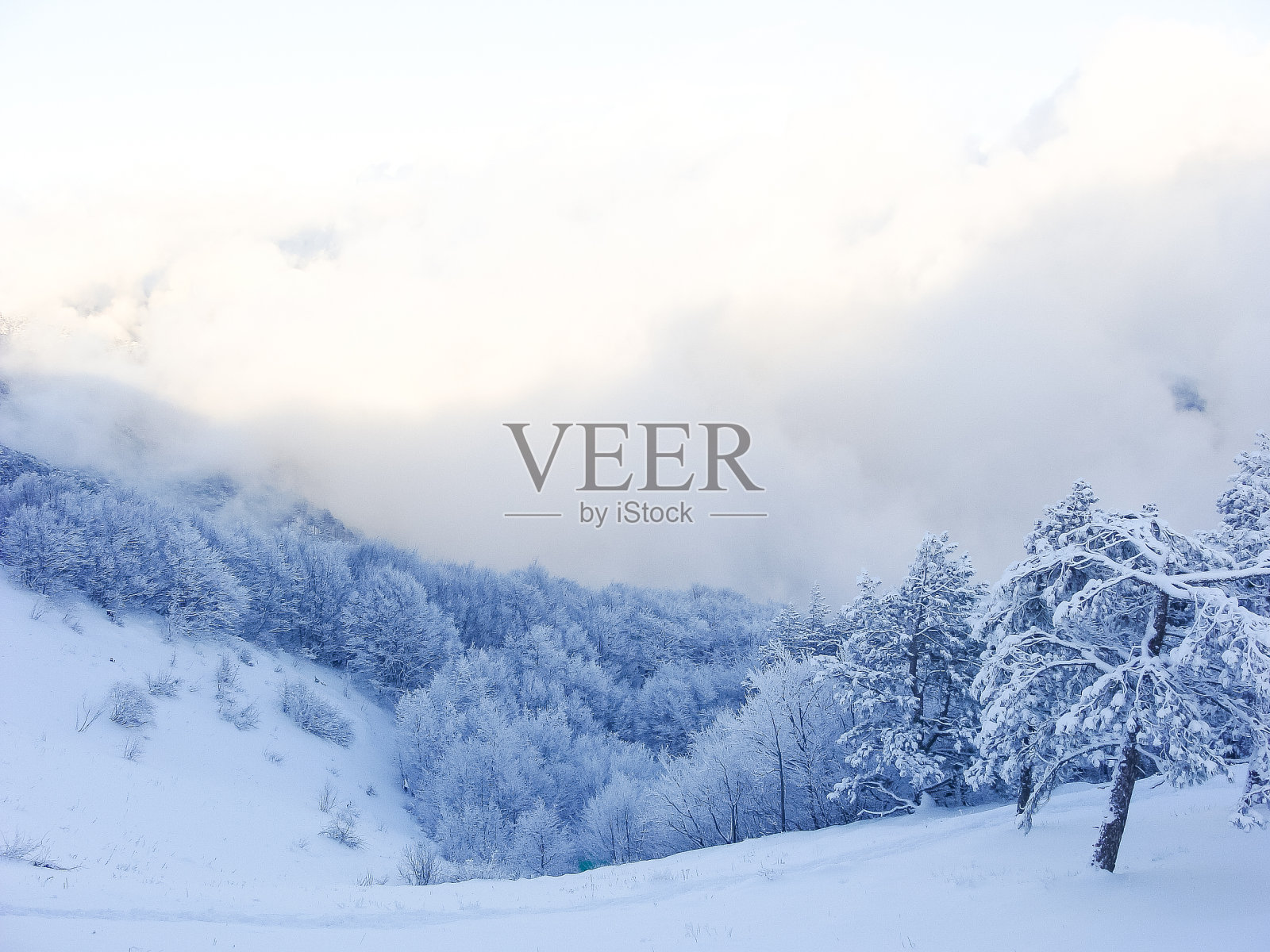 山顶的冬季景观。雪中的树。自然背景。北极照片摄影图片