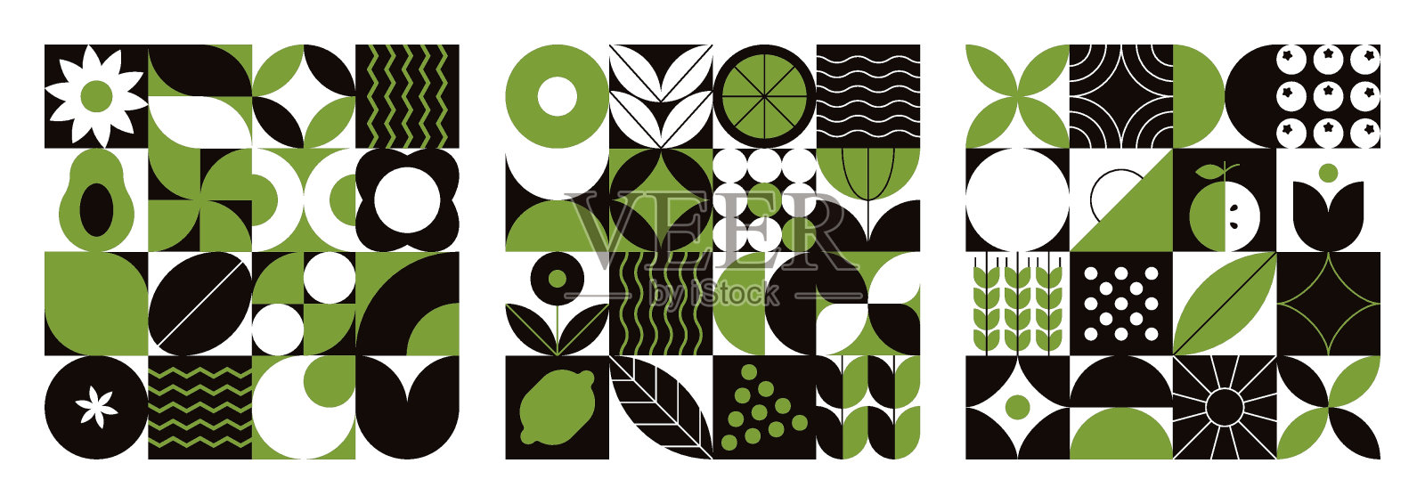 几何自然图案。抽象的果叶植物造型简单，极简的花卉生态农业概念。矢量横幅套装插画图片素材