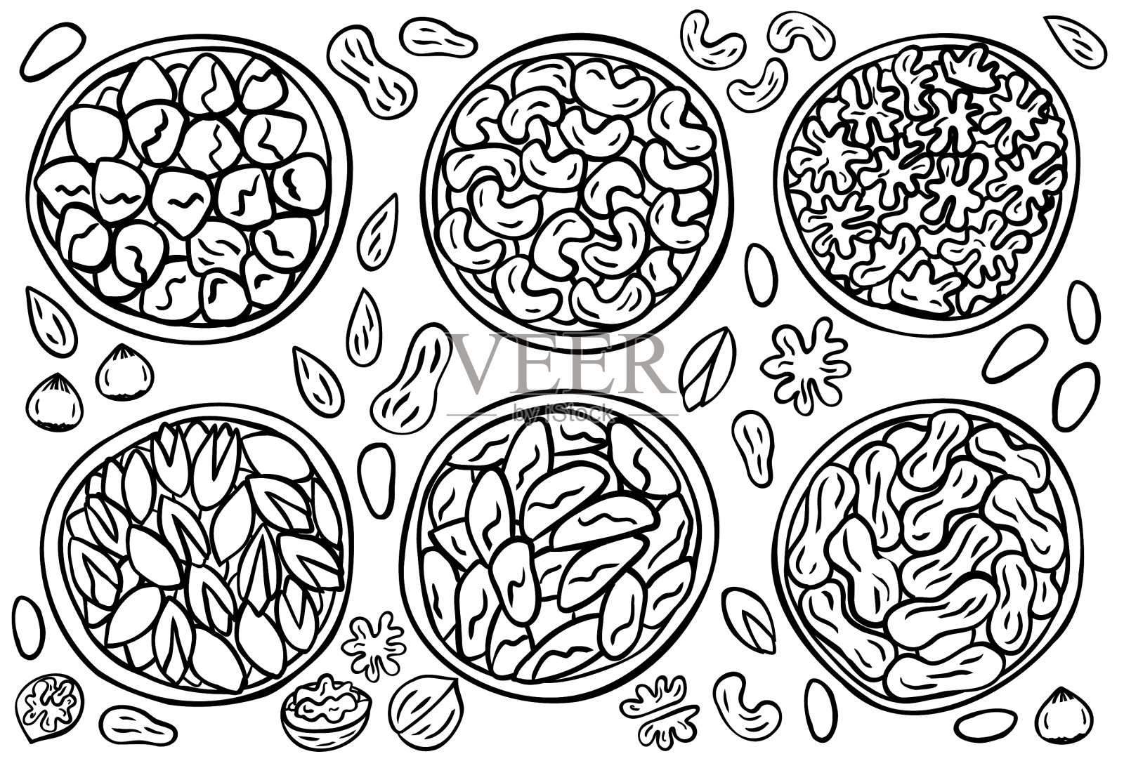 把坚果放在白色的背景上。榛子，腰果，开心果，巴西坚果，核桃，花生。收集健康的天然食品。矢量插图。插画图片素材