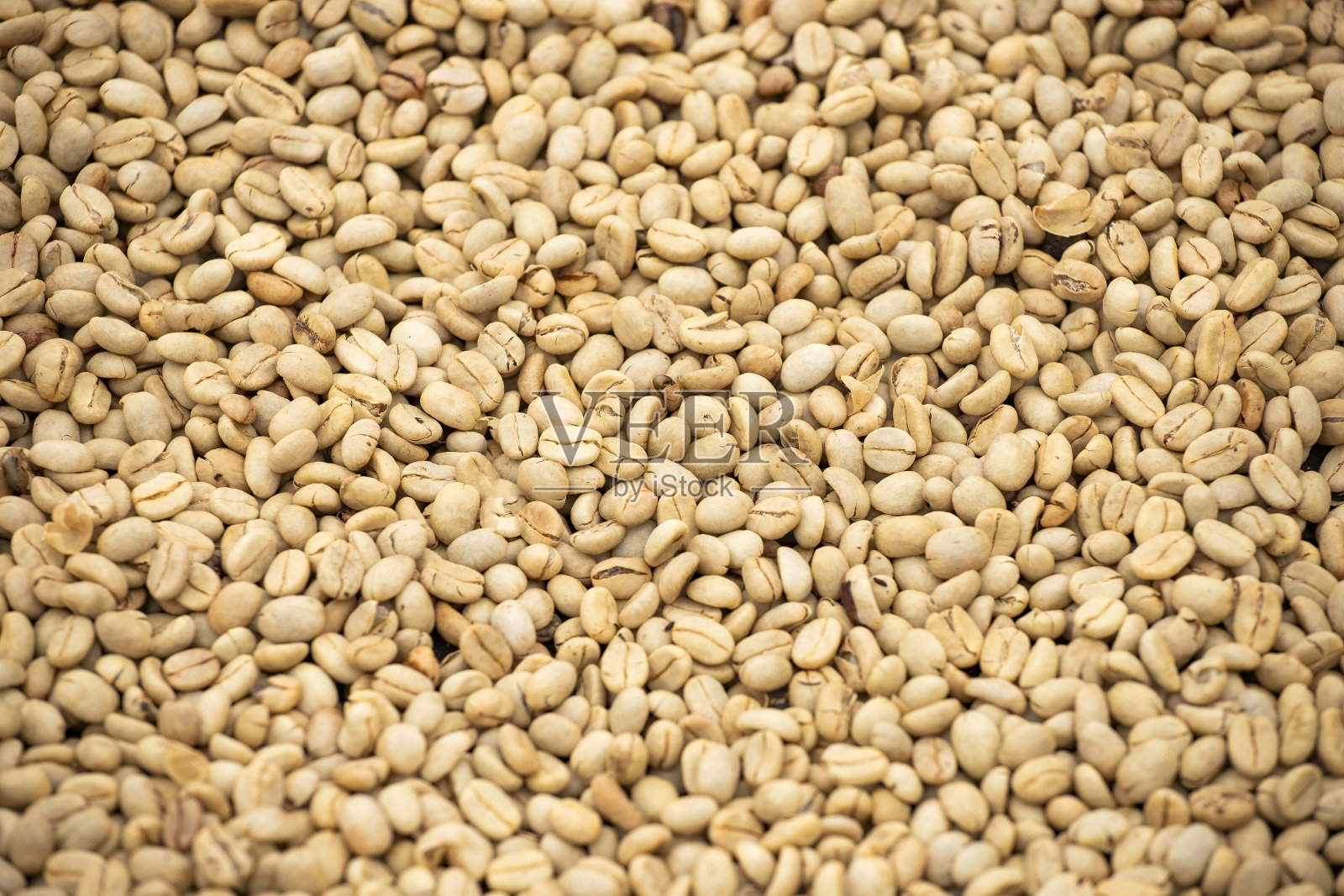 天然晒干咖啡豆-哥伦比亚咖啡农场照片摄影图片