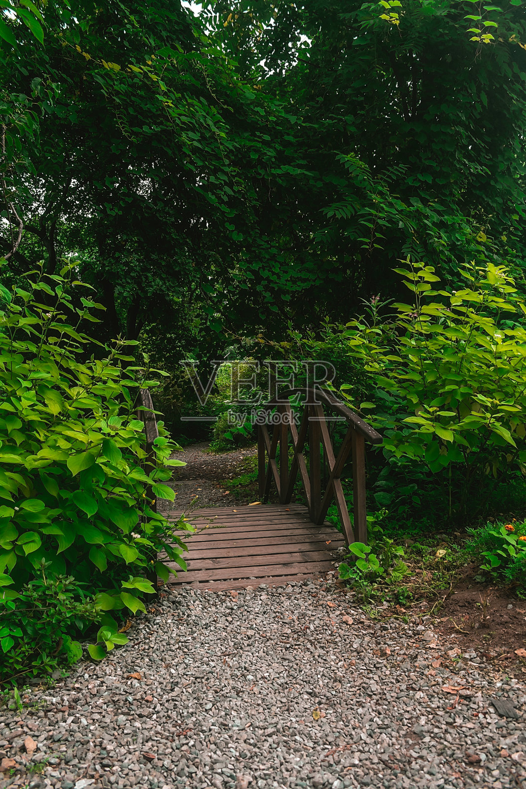 公园里茂密的绿色植被间的一座小桥。照片摄影图片