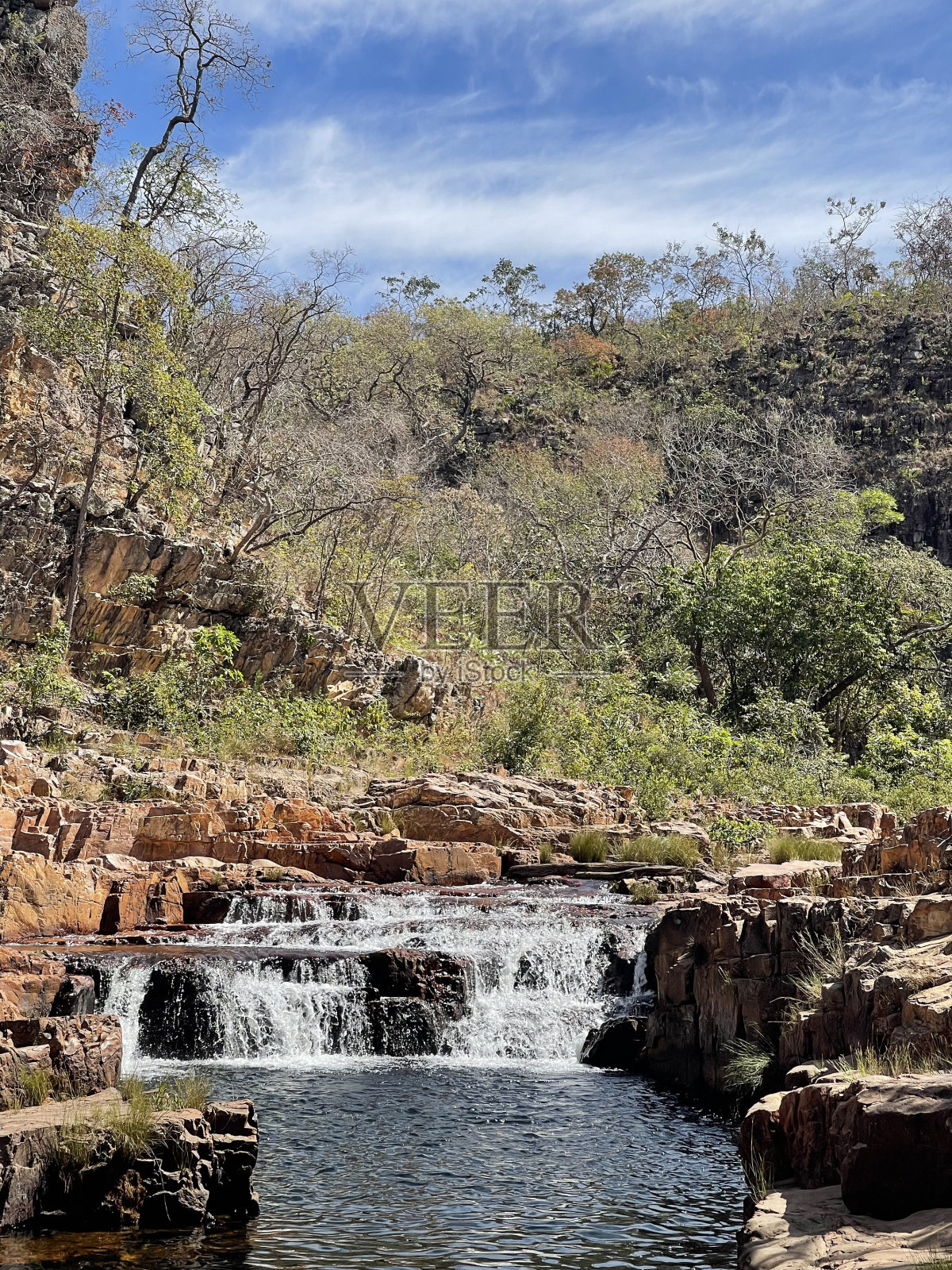 巴西多彩森林照片摄影图片
