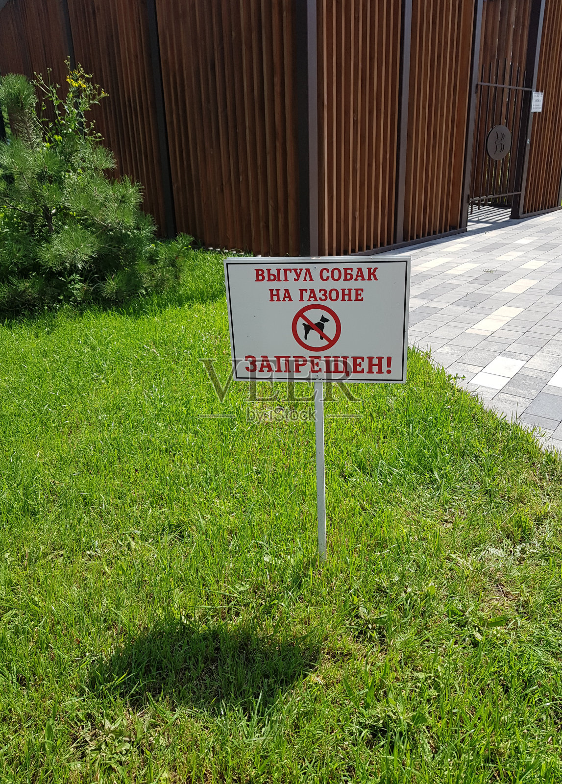 现代住宅小区夏季绿草背景上禁止狗行走的标志。动物保健照片摄影图片