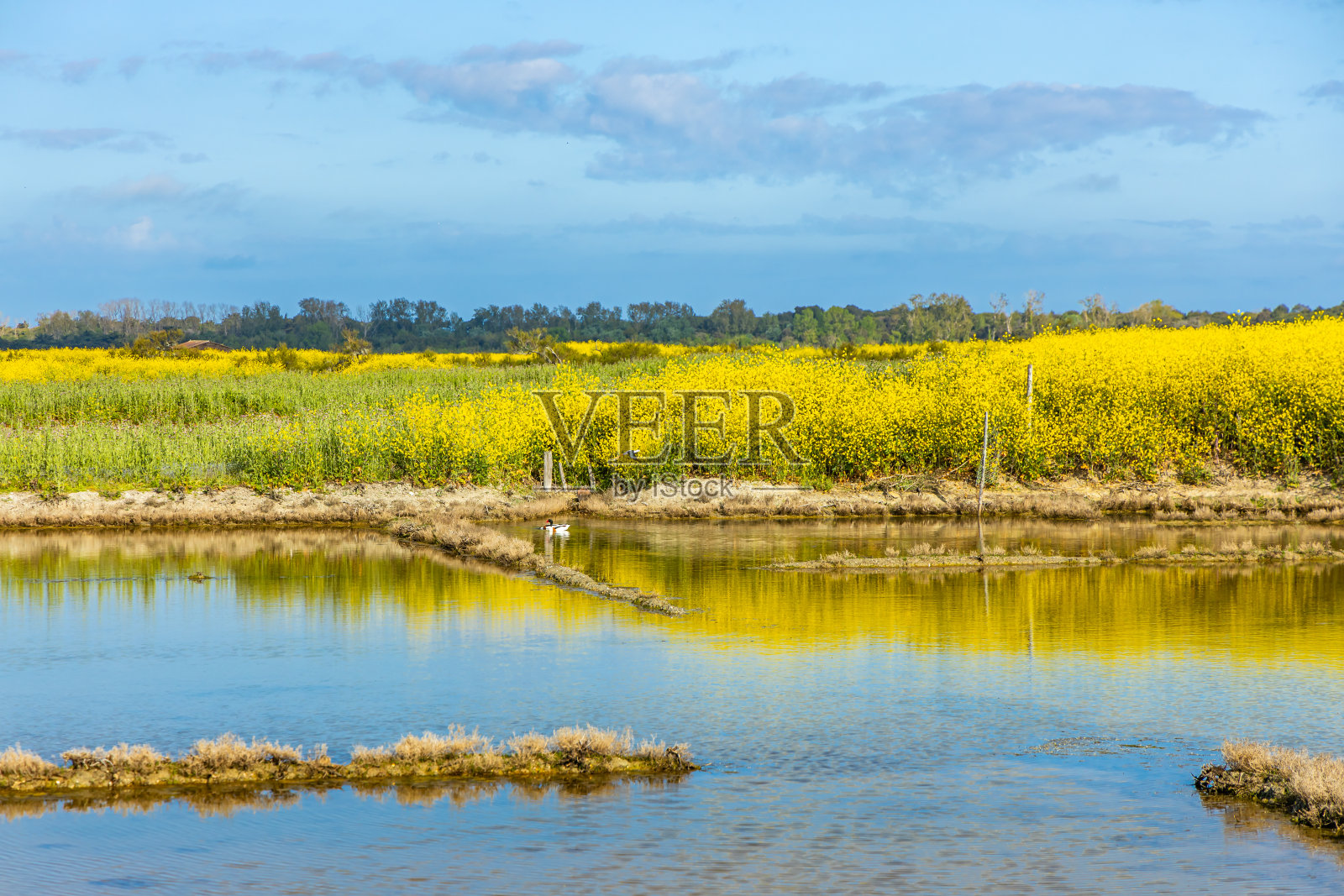尼日岛利洛自然保护区的盐沼照片摄影图片