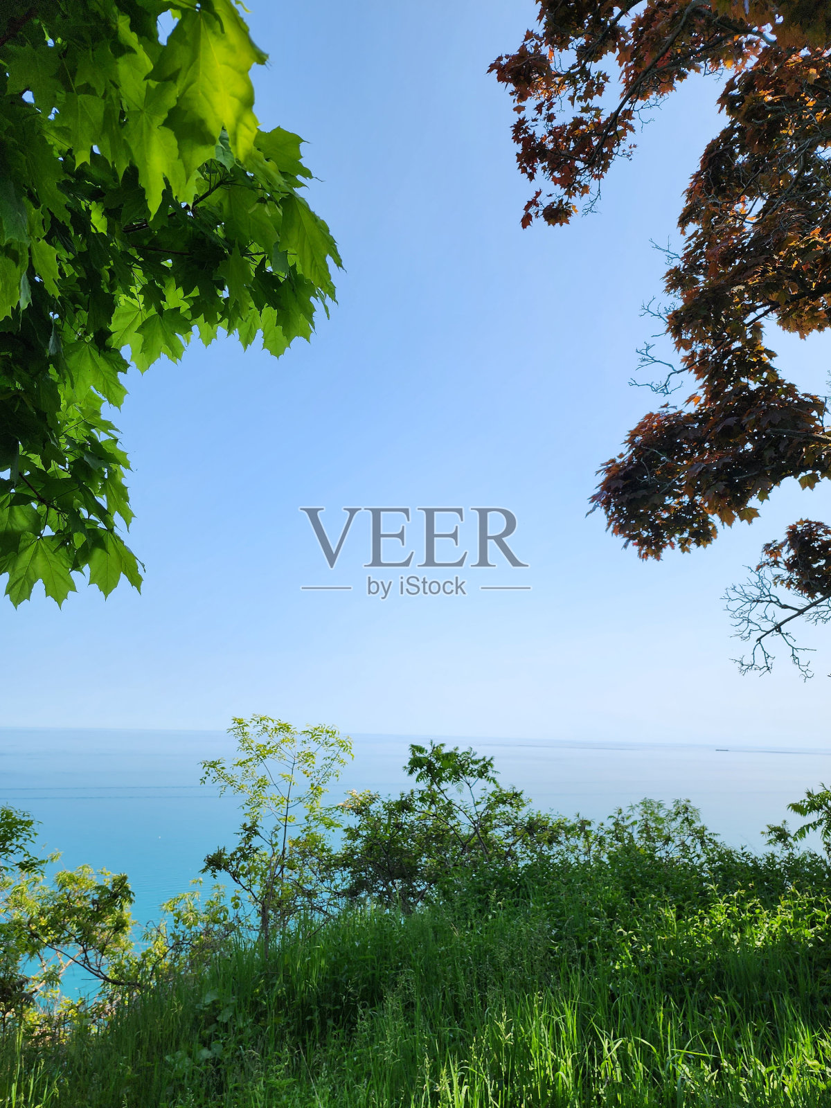 季节性选择照片摄影图片