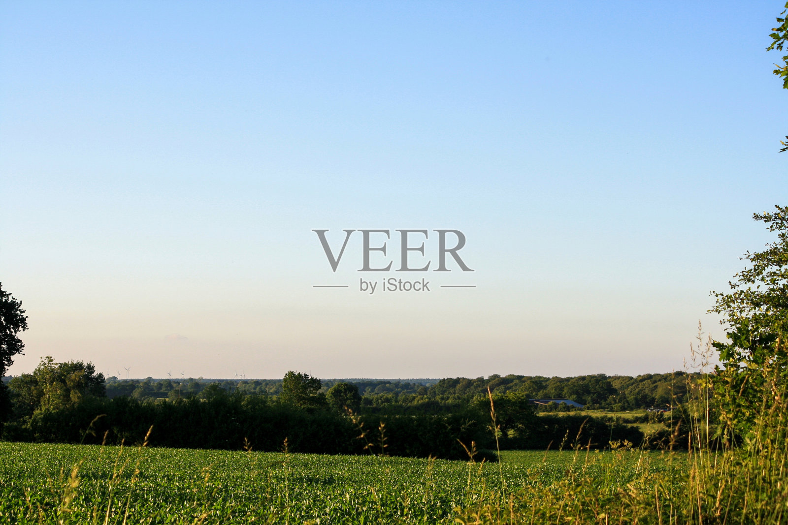 德国农村的农田和树木风景照片摄影图片