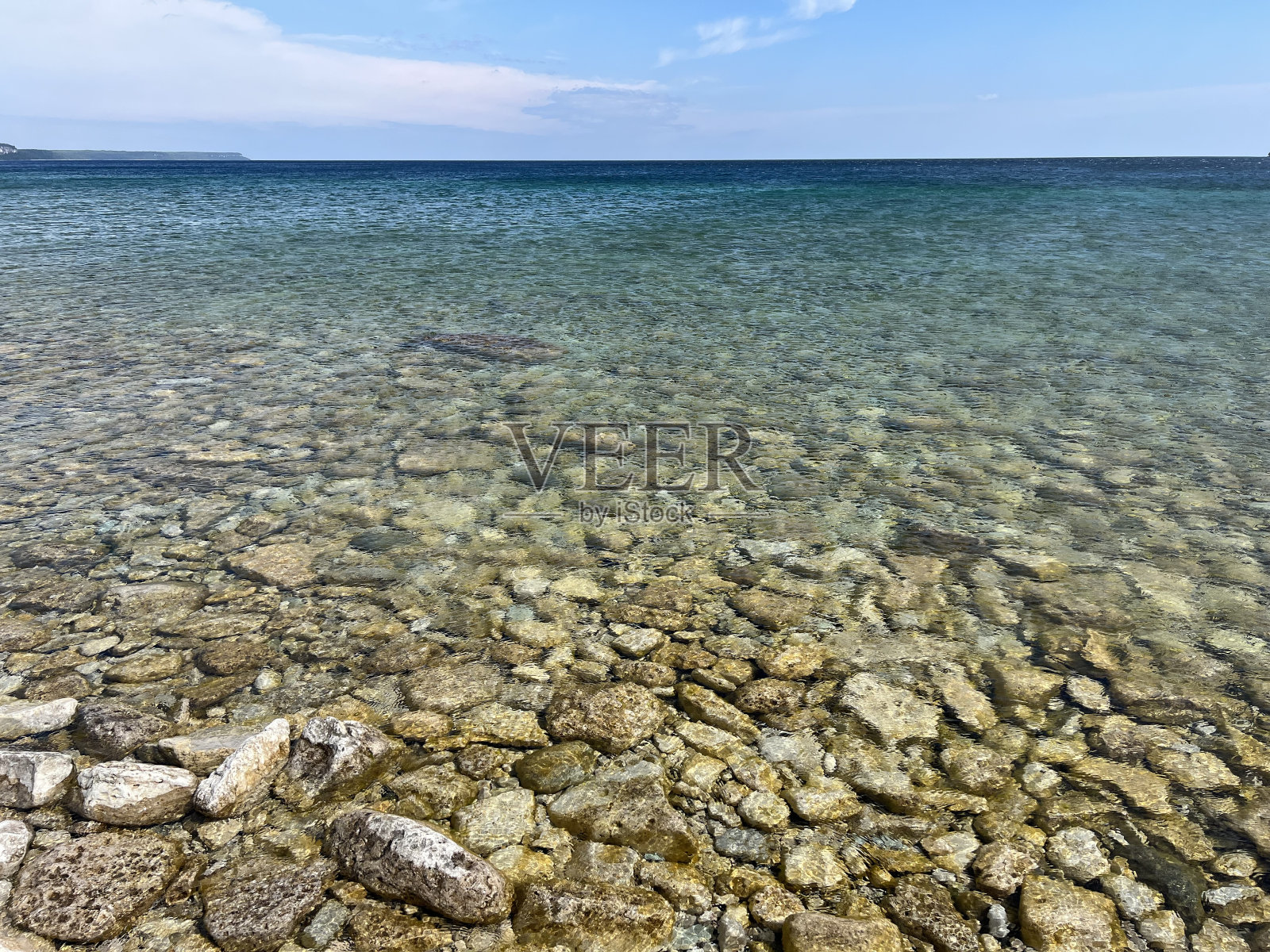 狮子的Head-4照片摄影图片