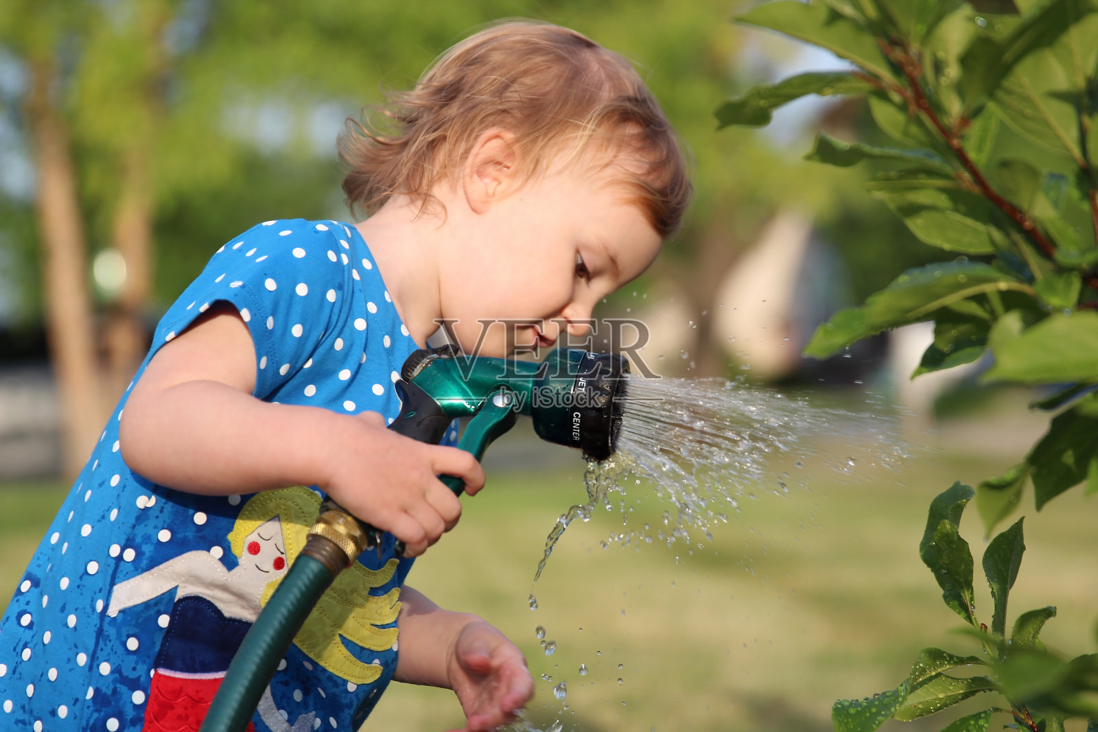 可爱的小女孩在炎热和阳光明媚的夏夜用花园软管浇树照片摄影图片