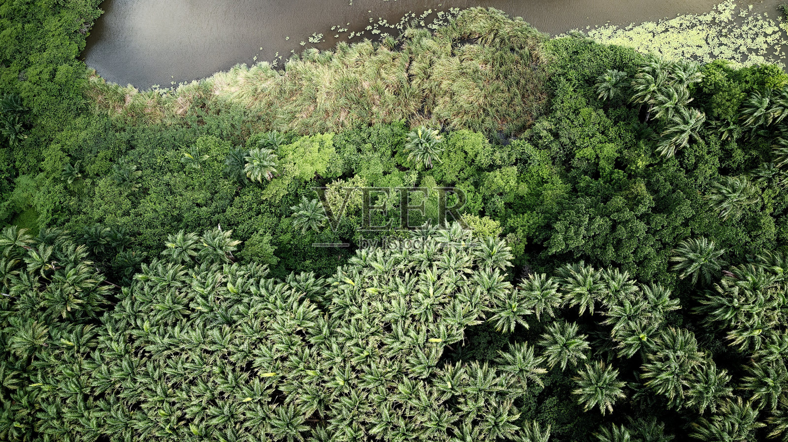 安西伯特兰照片摄影图片