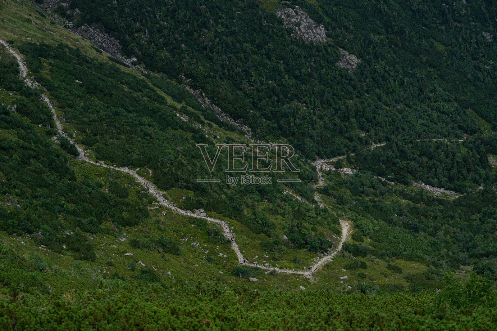 山顶风光:从山顶俯瞰旅游路线照片摄影图片