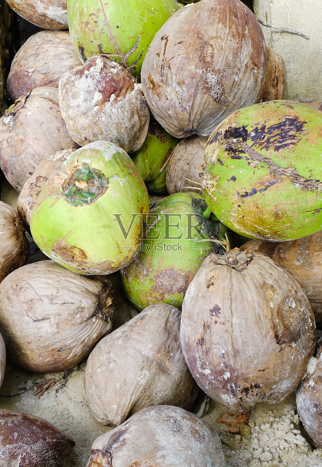 市场上出售的椰子干照片摄影图片