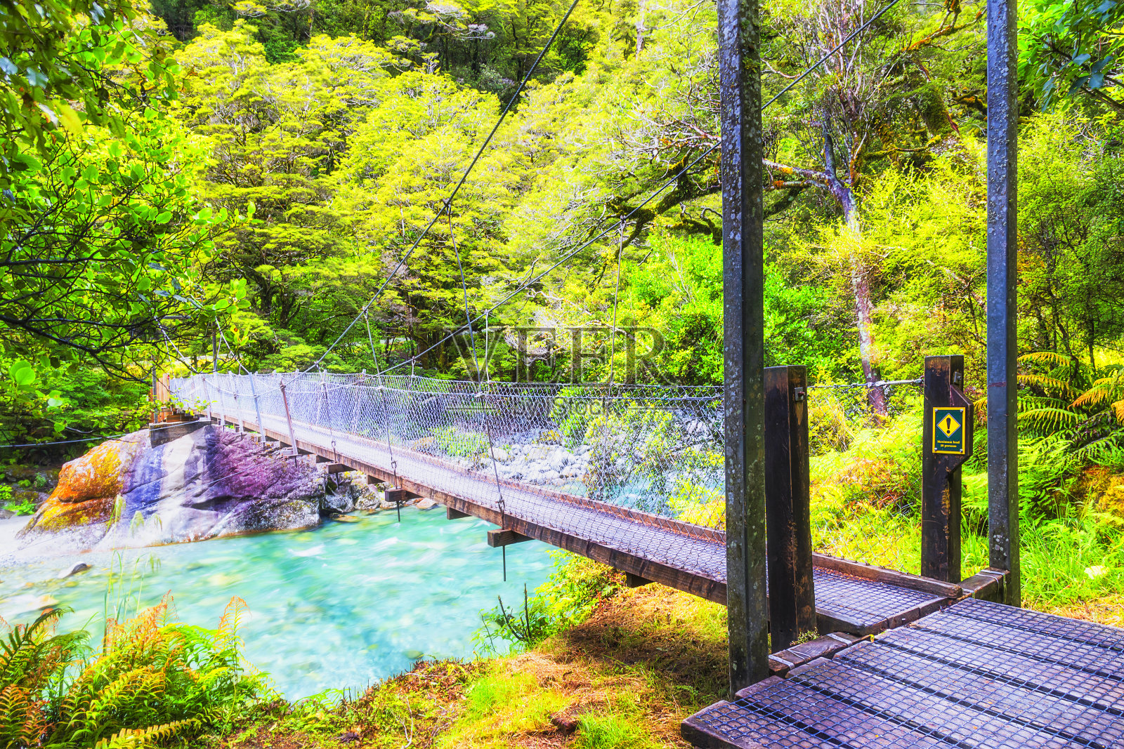 新西兰米尔福德声音玛丽安轨道HB侧照片摄影图片