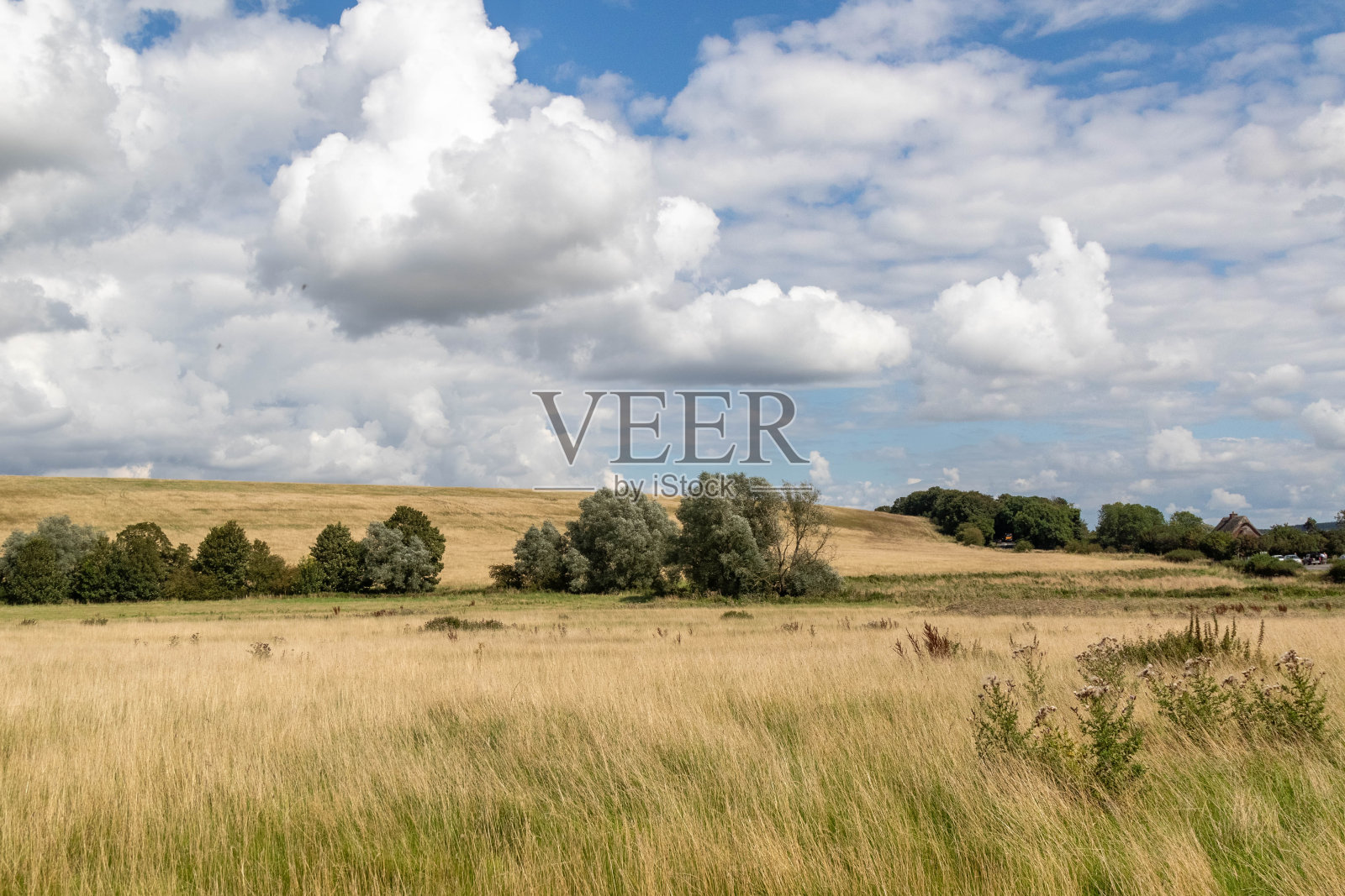 一块英国的休耕地照片摄影图片